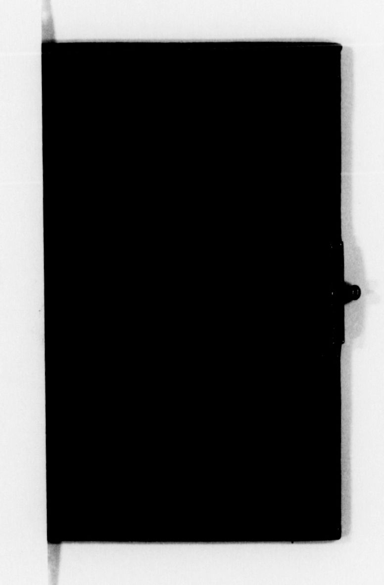 mss119730019-2