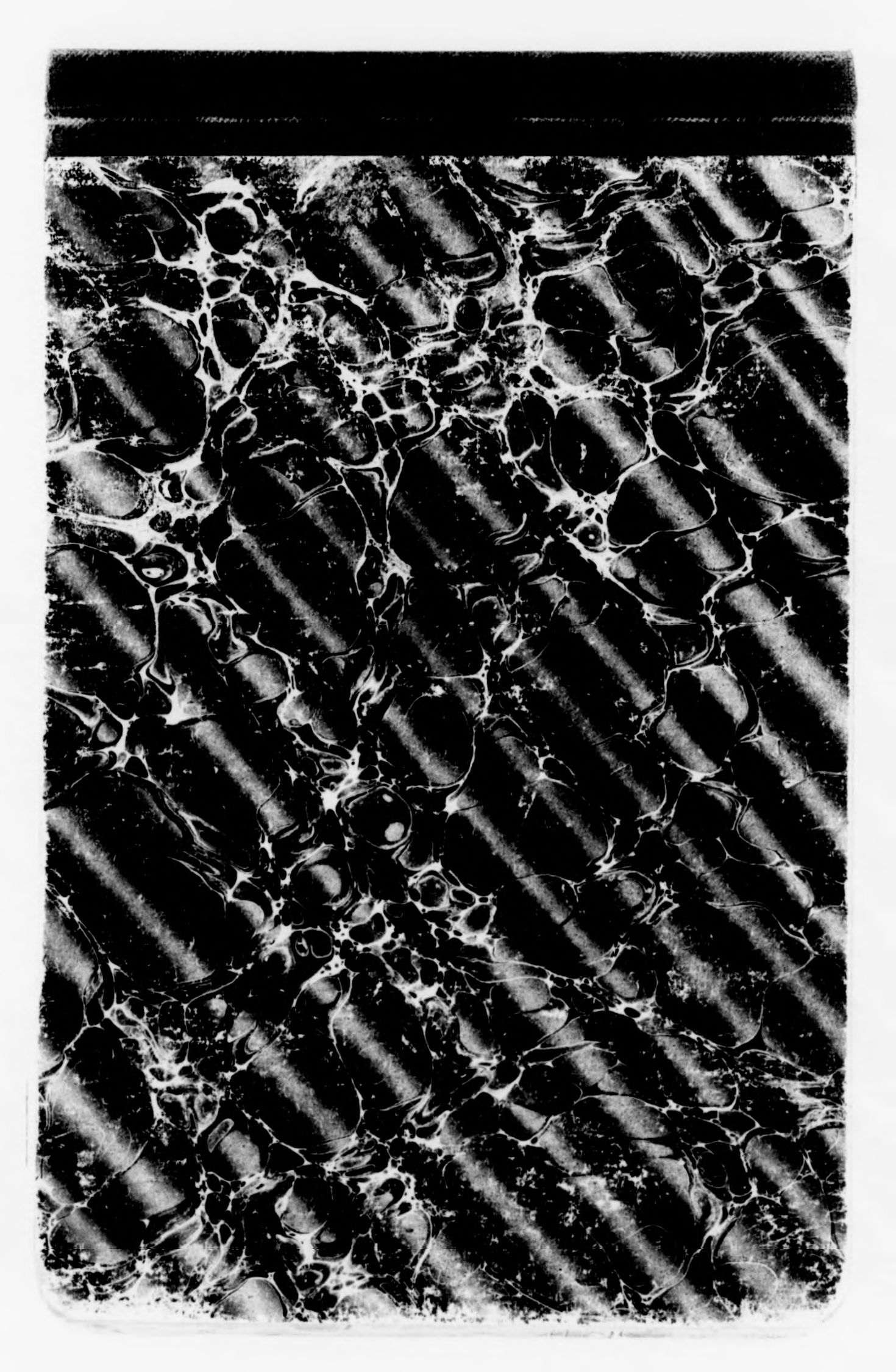 mss119730032-2