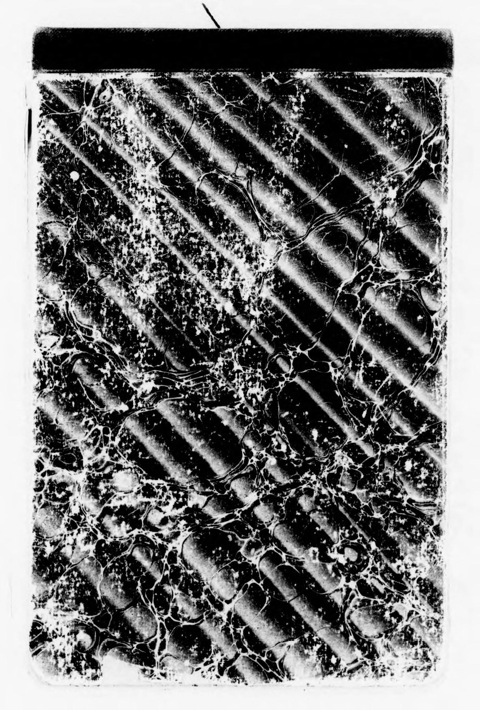 mss119730032-27