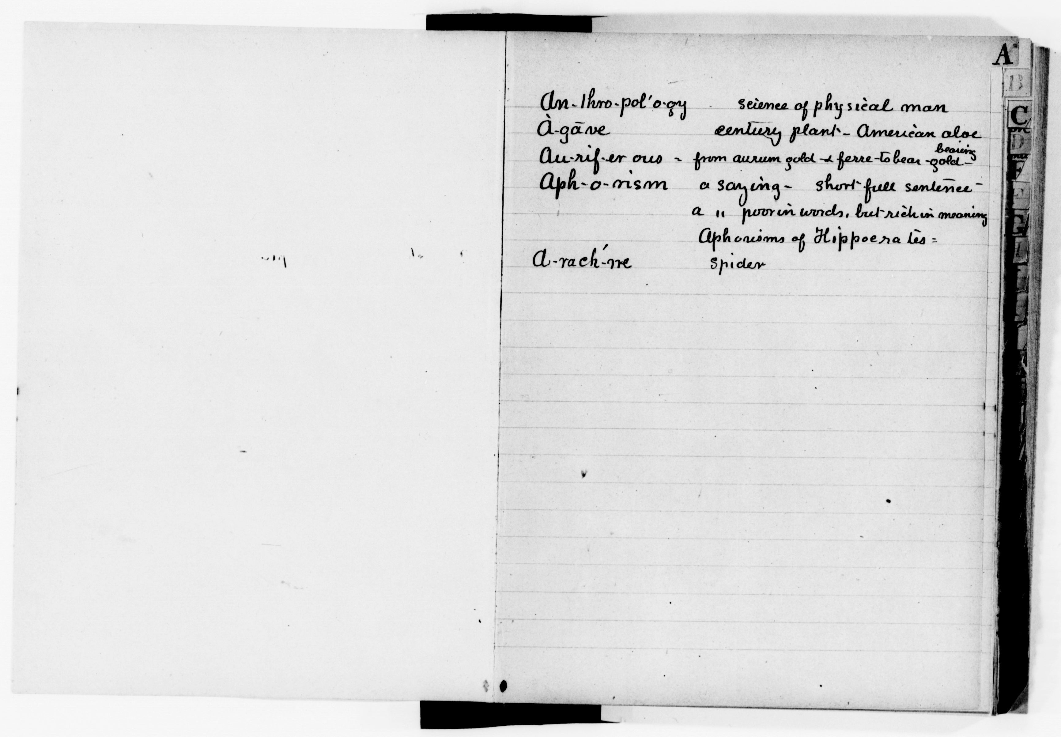 mss119730876-4
