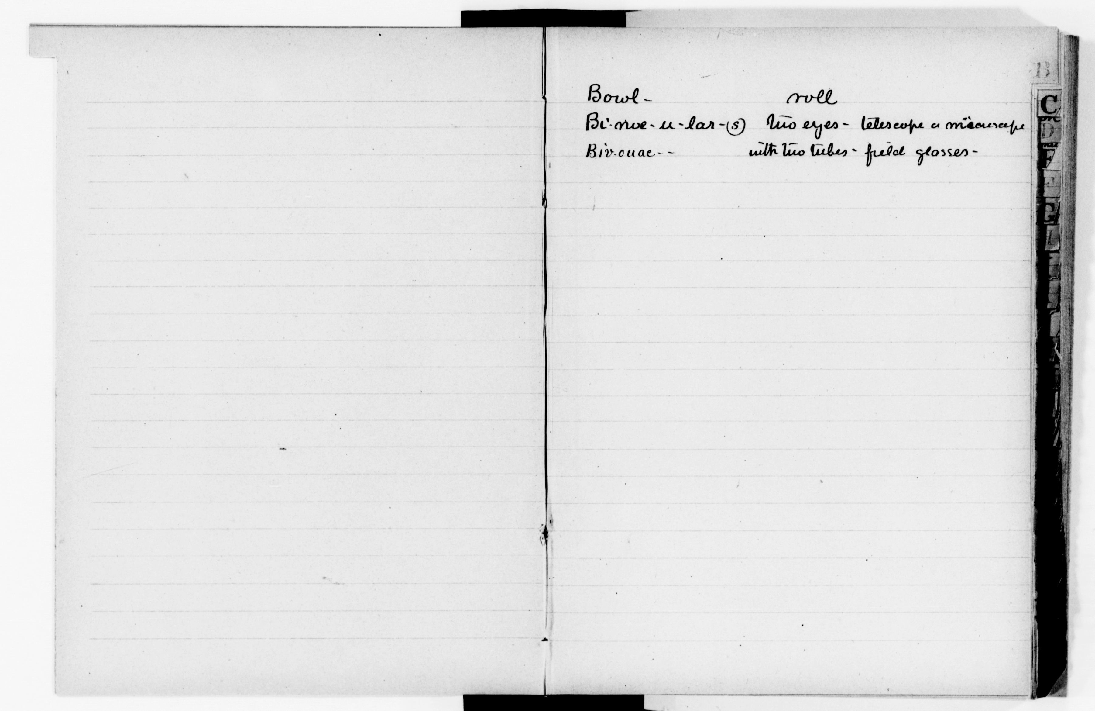 mss119730876-5