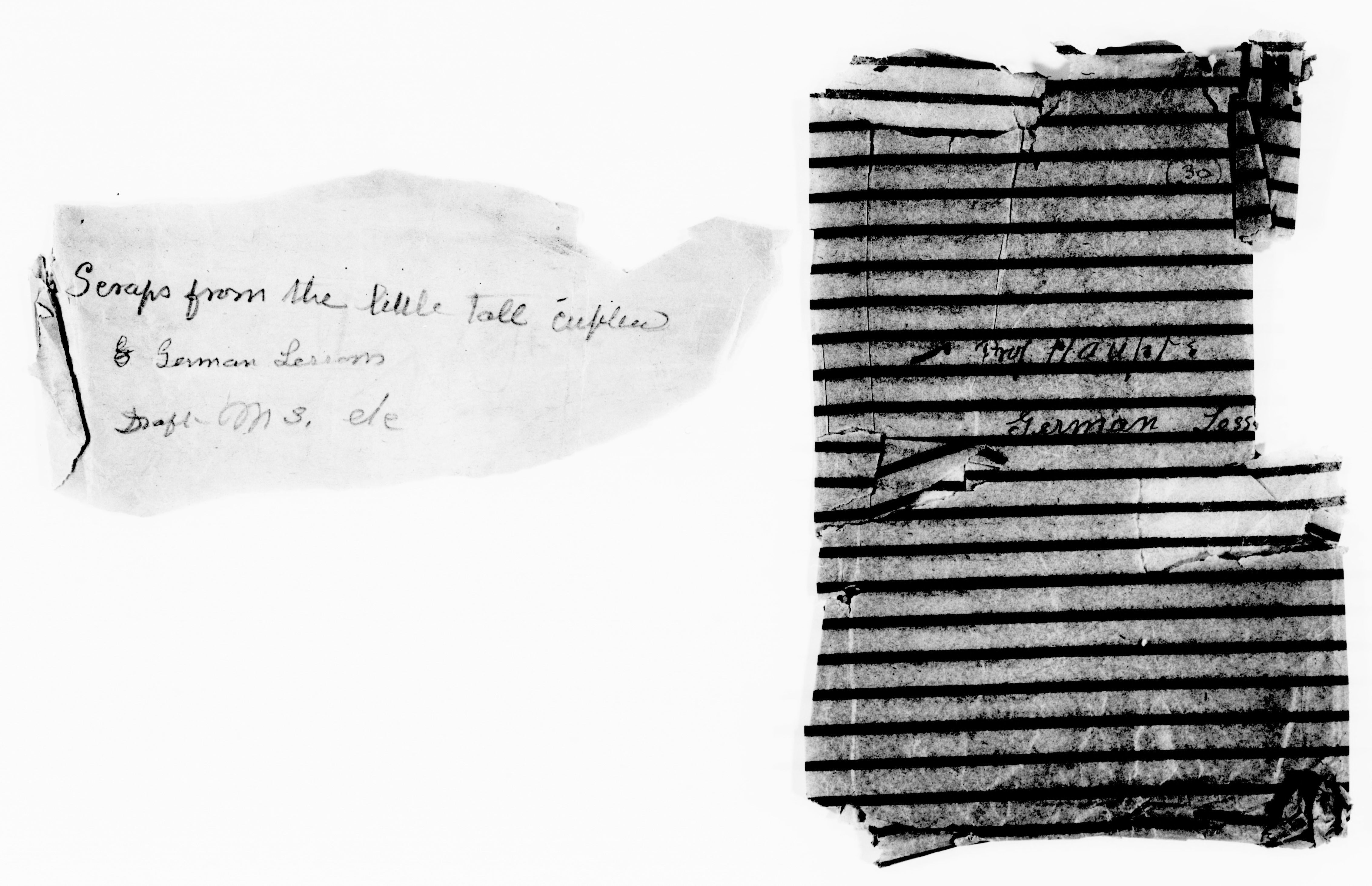 mss119730903-2