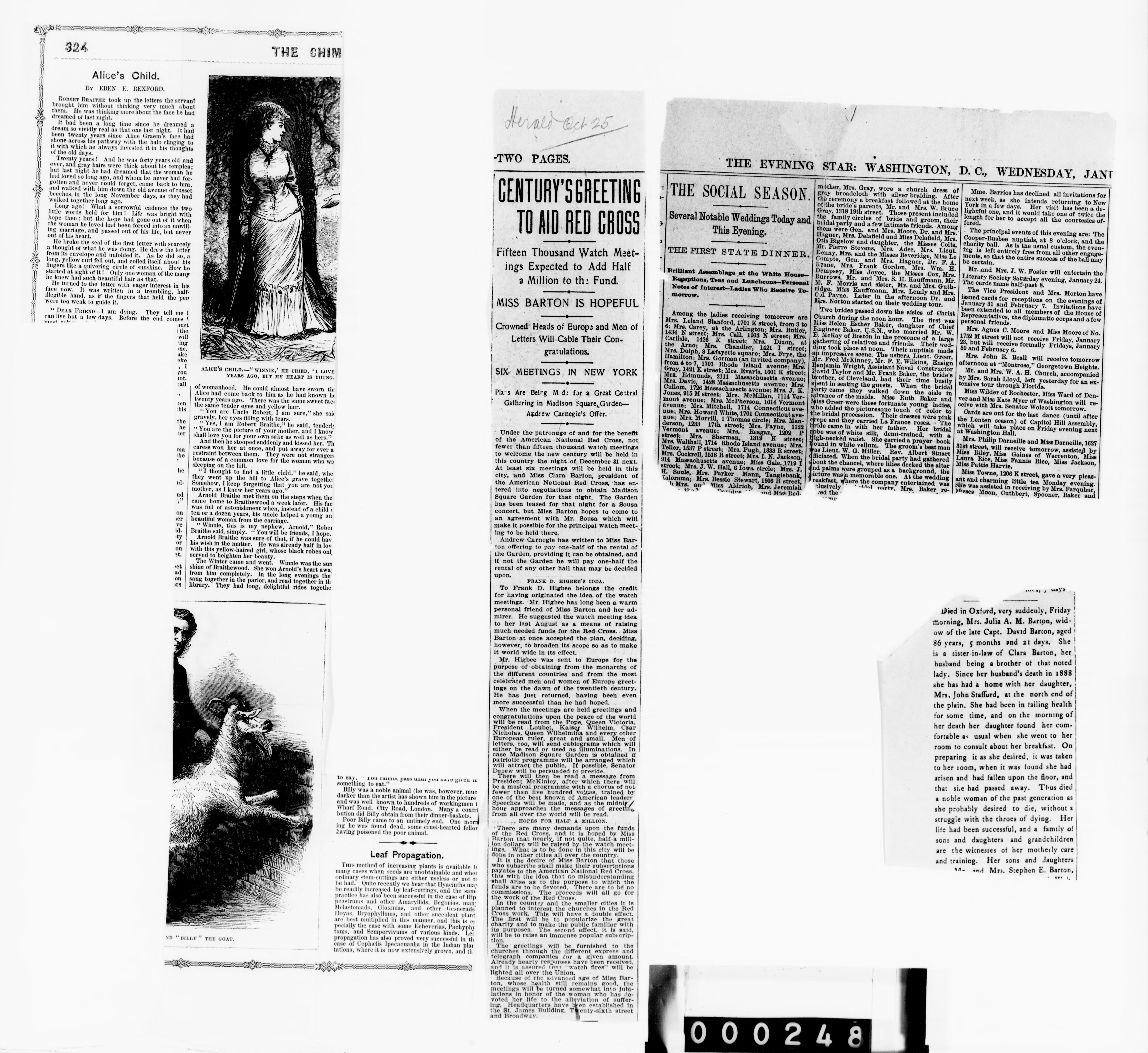 mss119730916-166