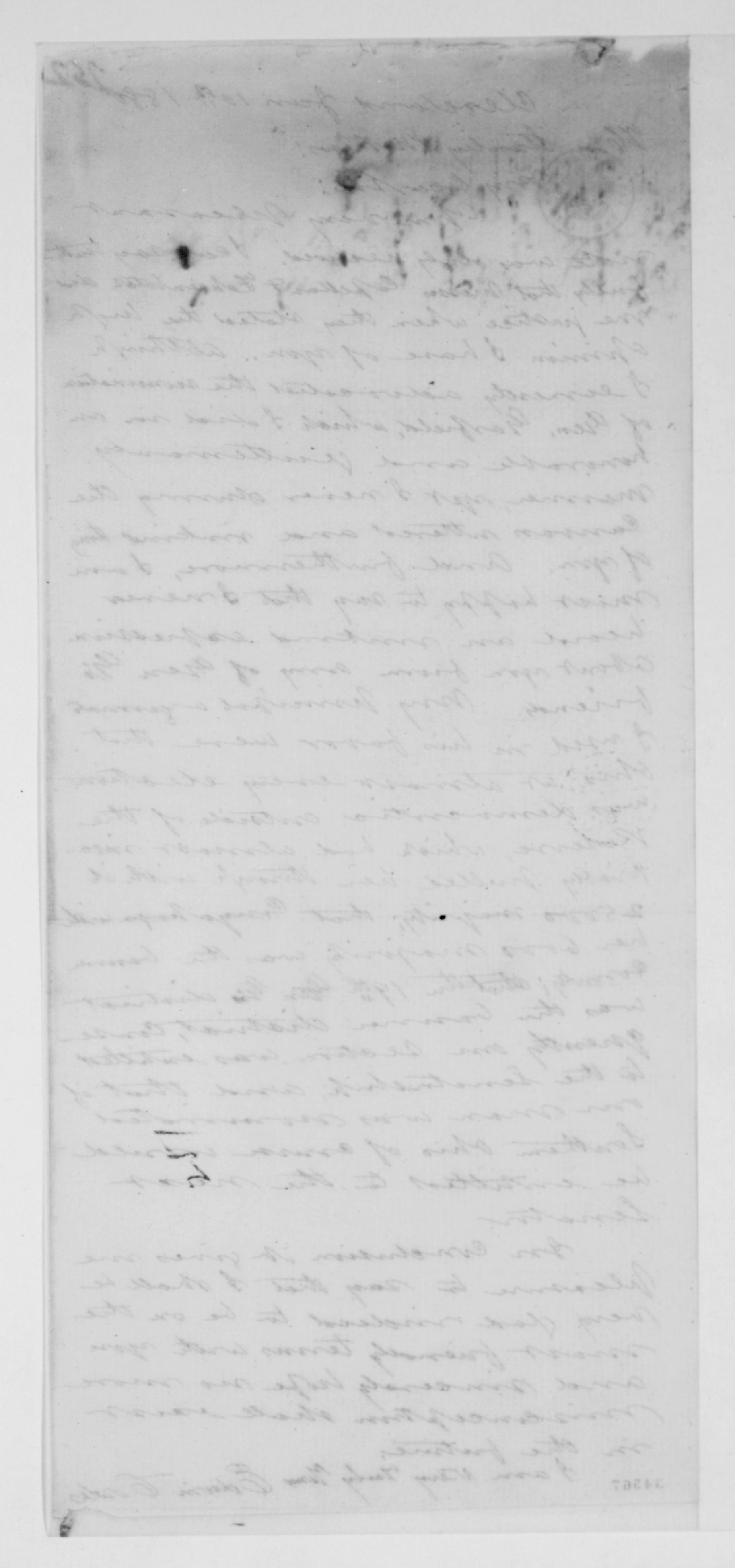 mss219560104-388