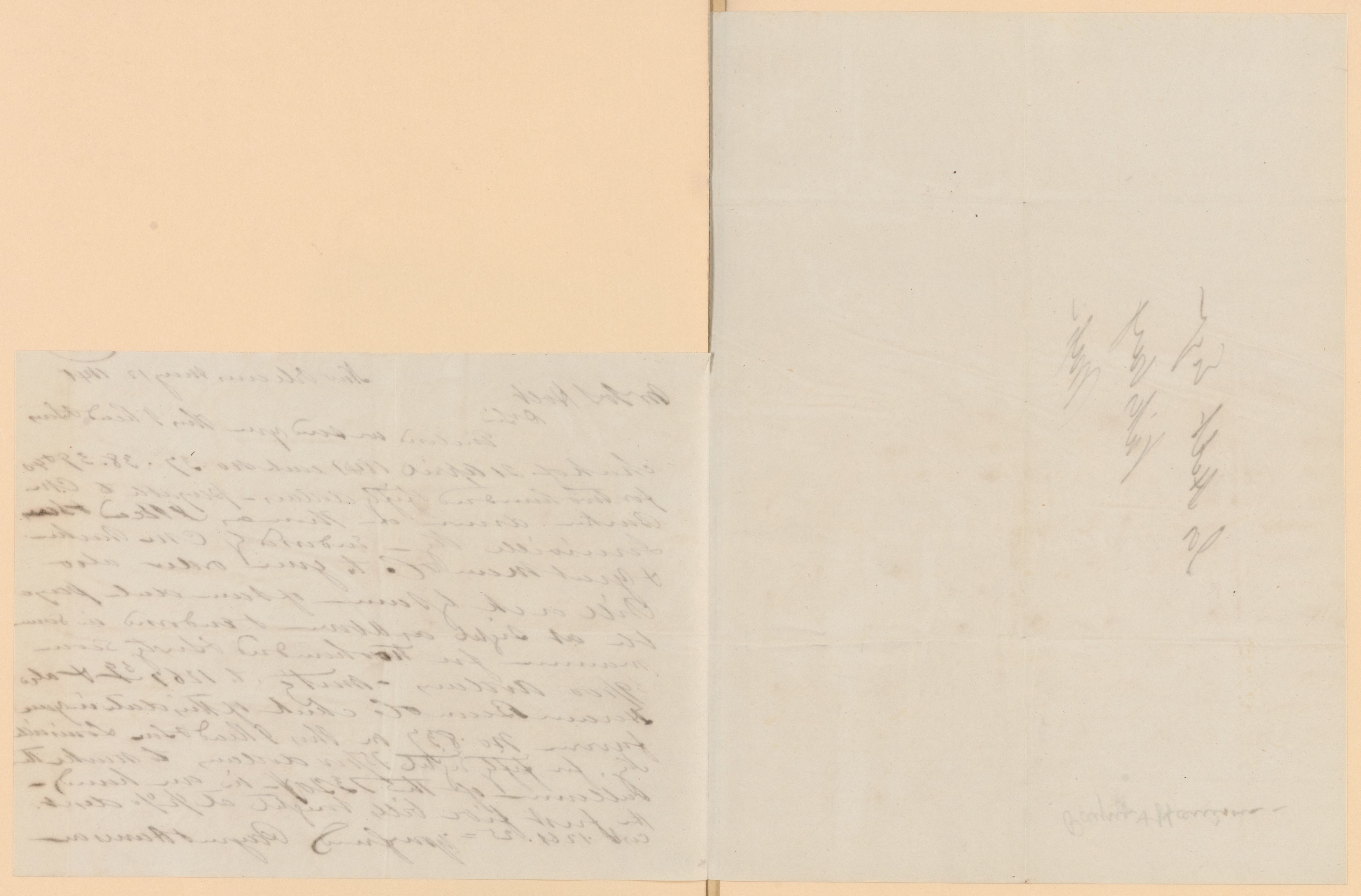mss263850008-342