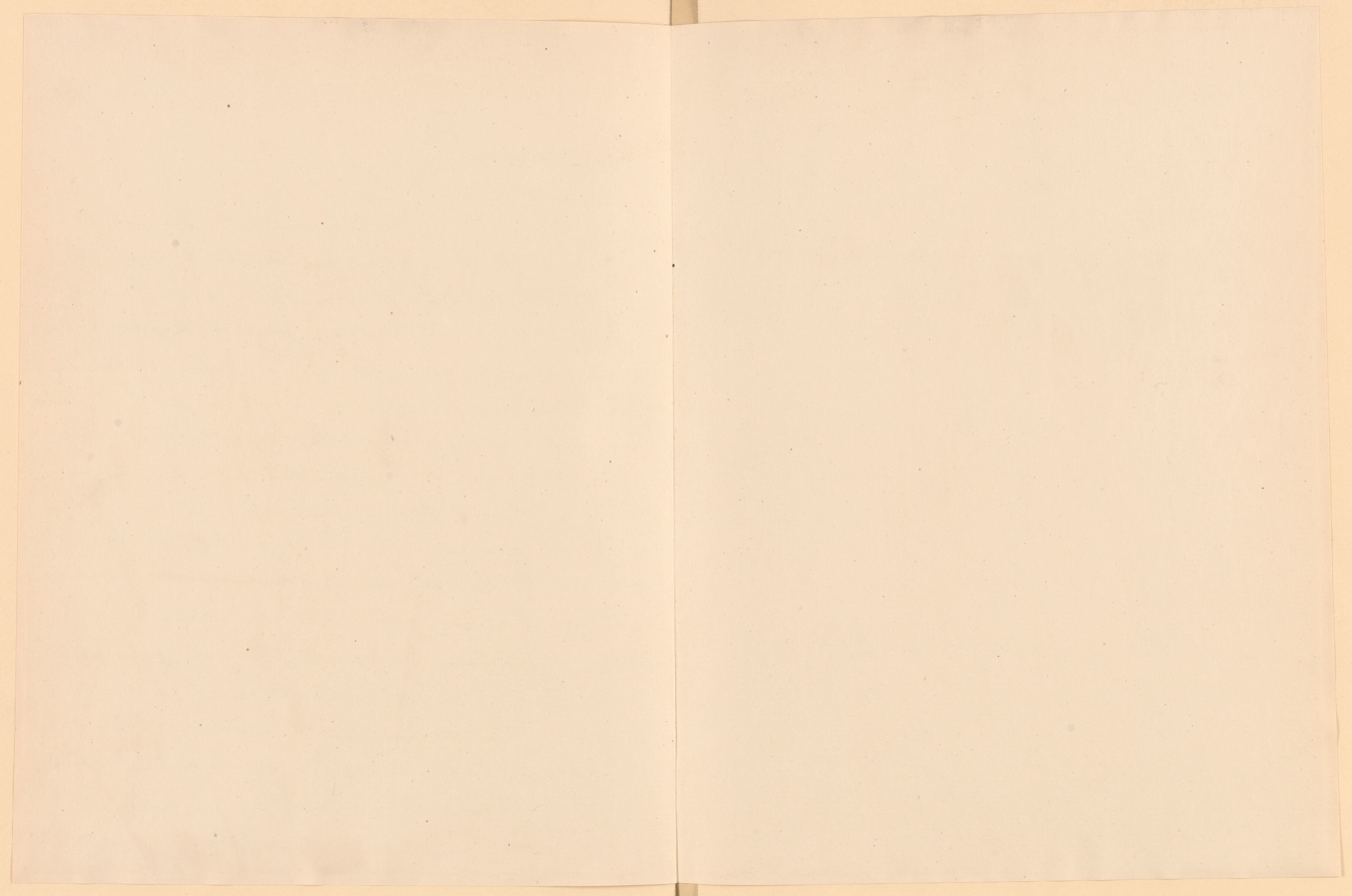 mss263850013-89