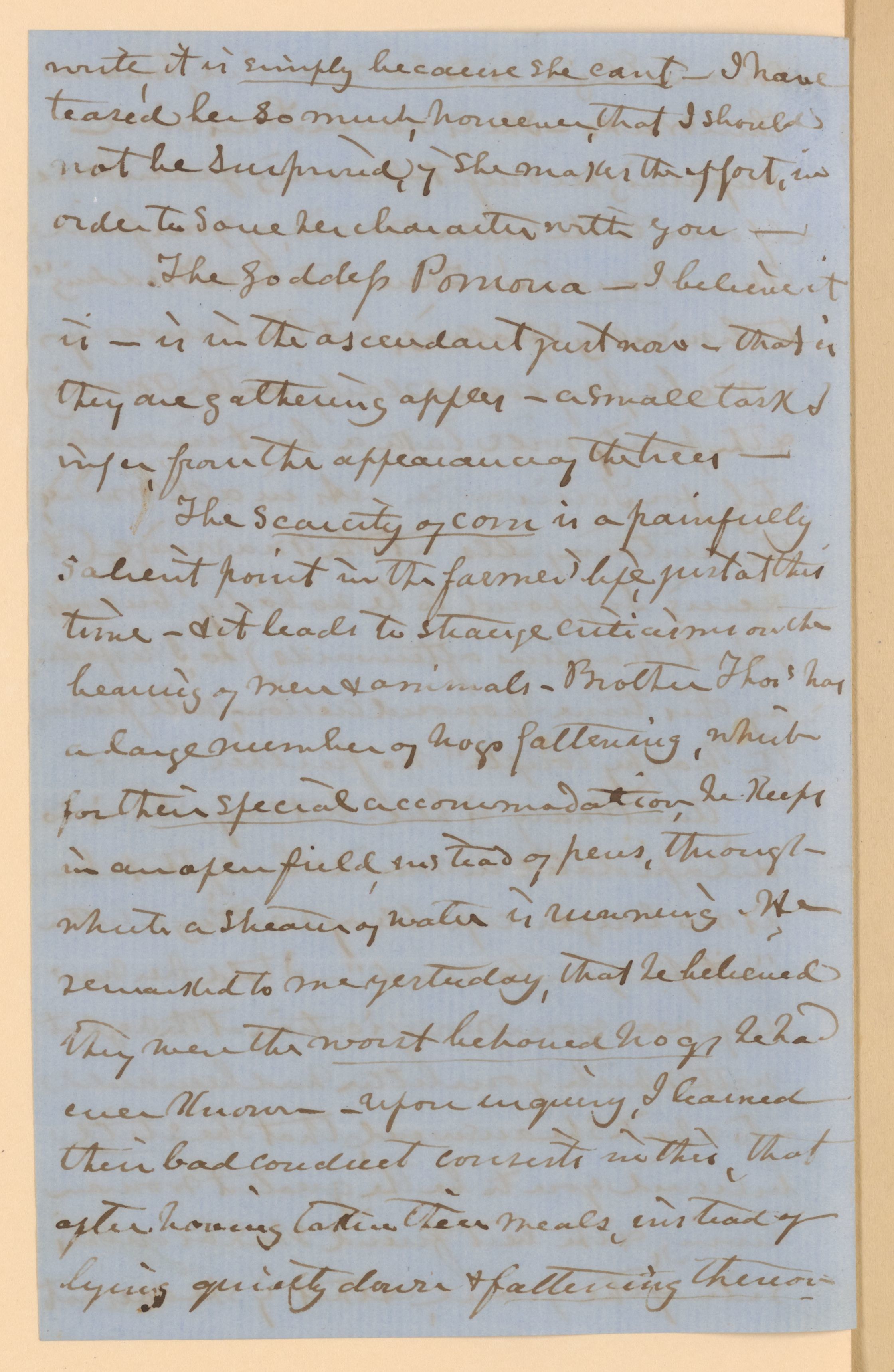 Scanned image of the current content page