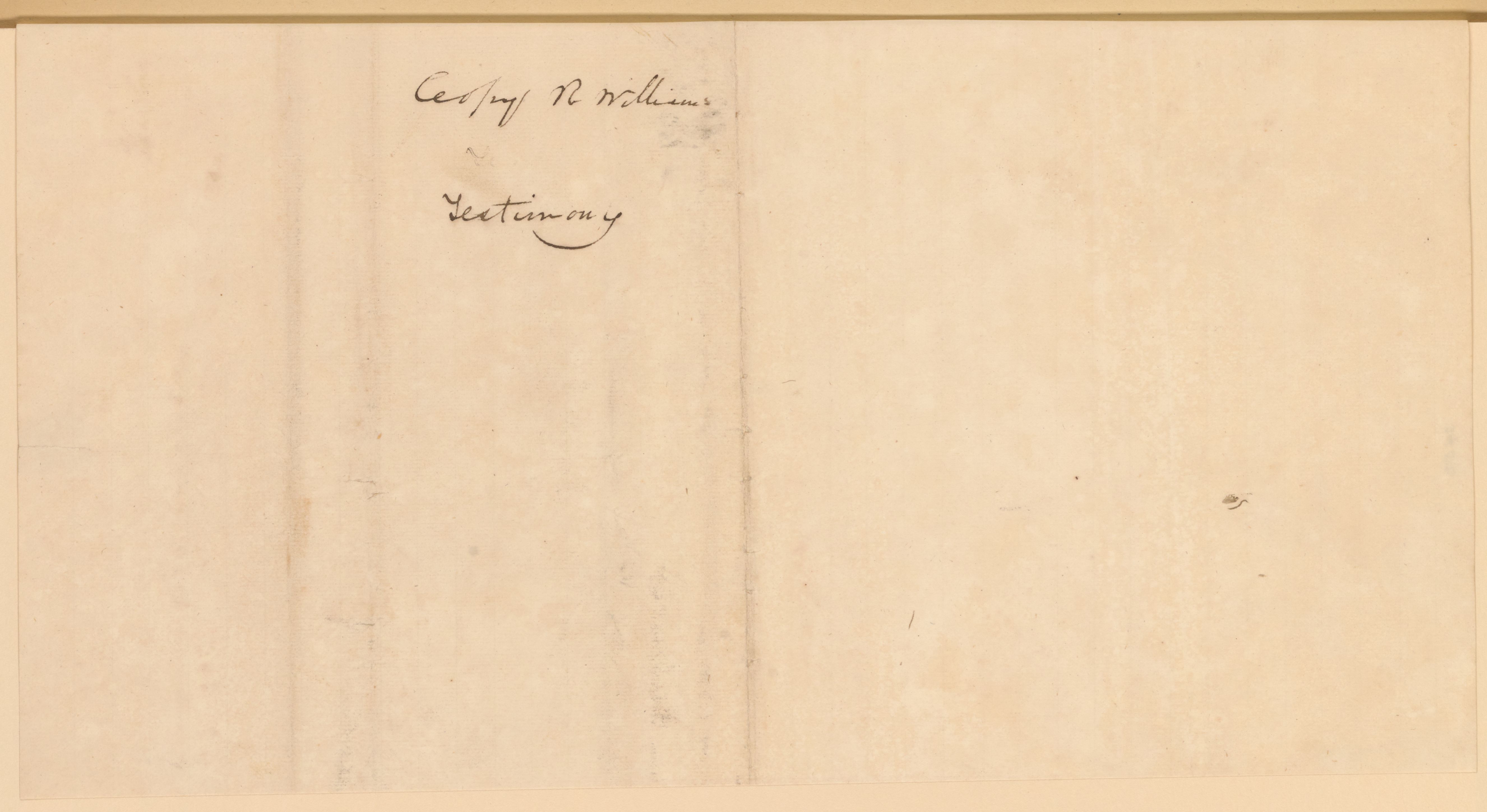 mss263850096-349