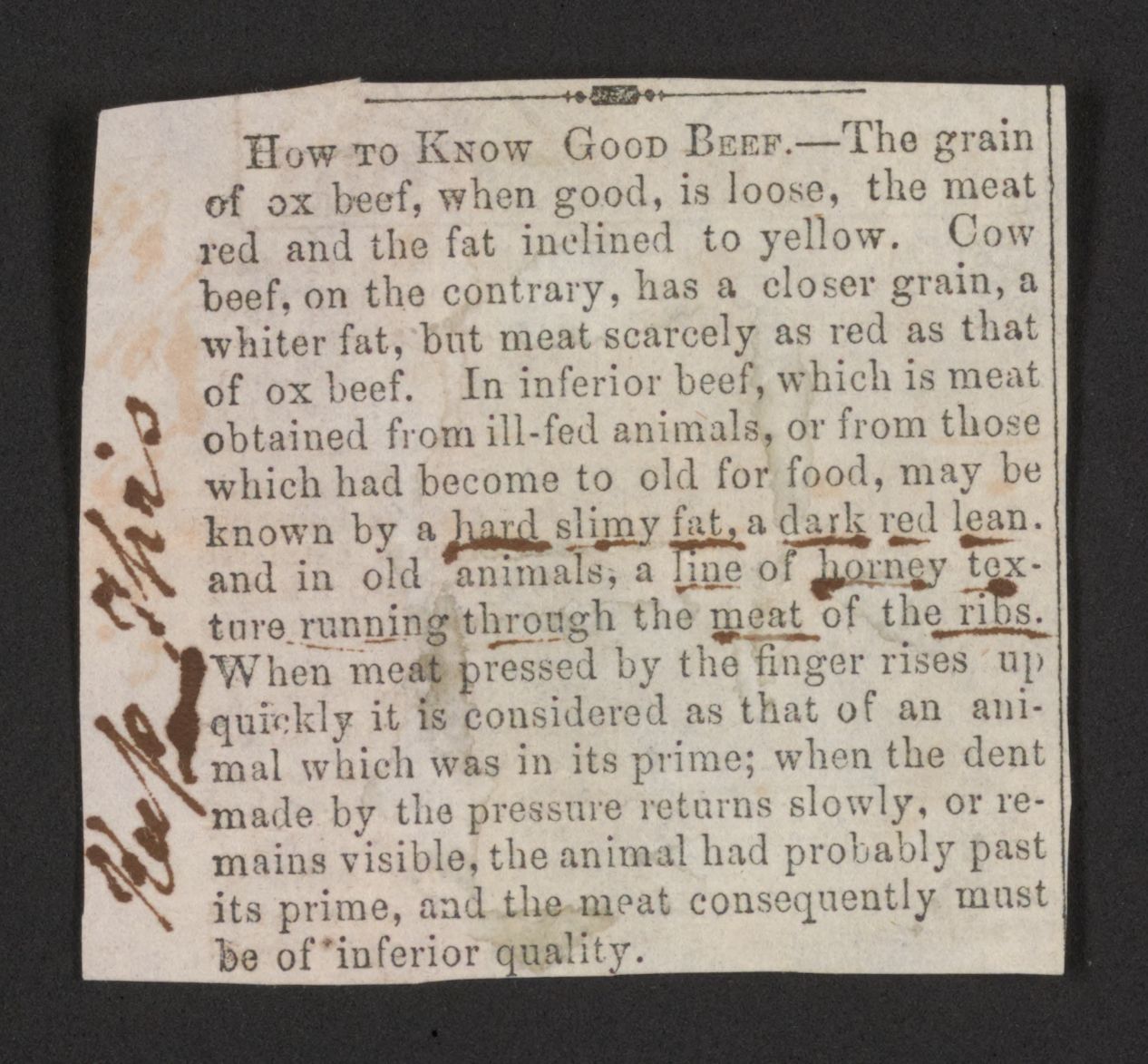 Scanned image of the current content page