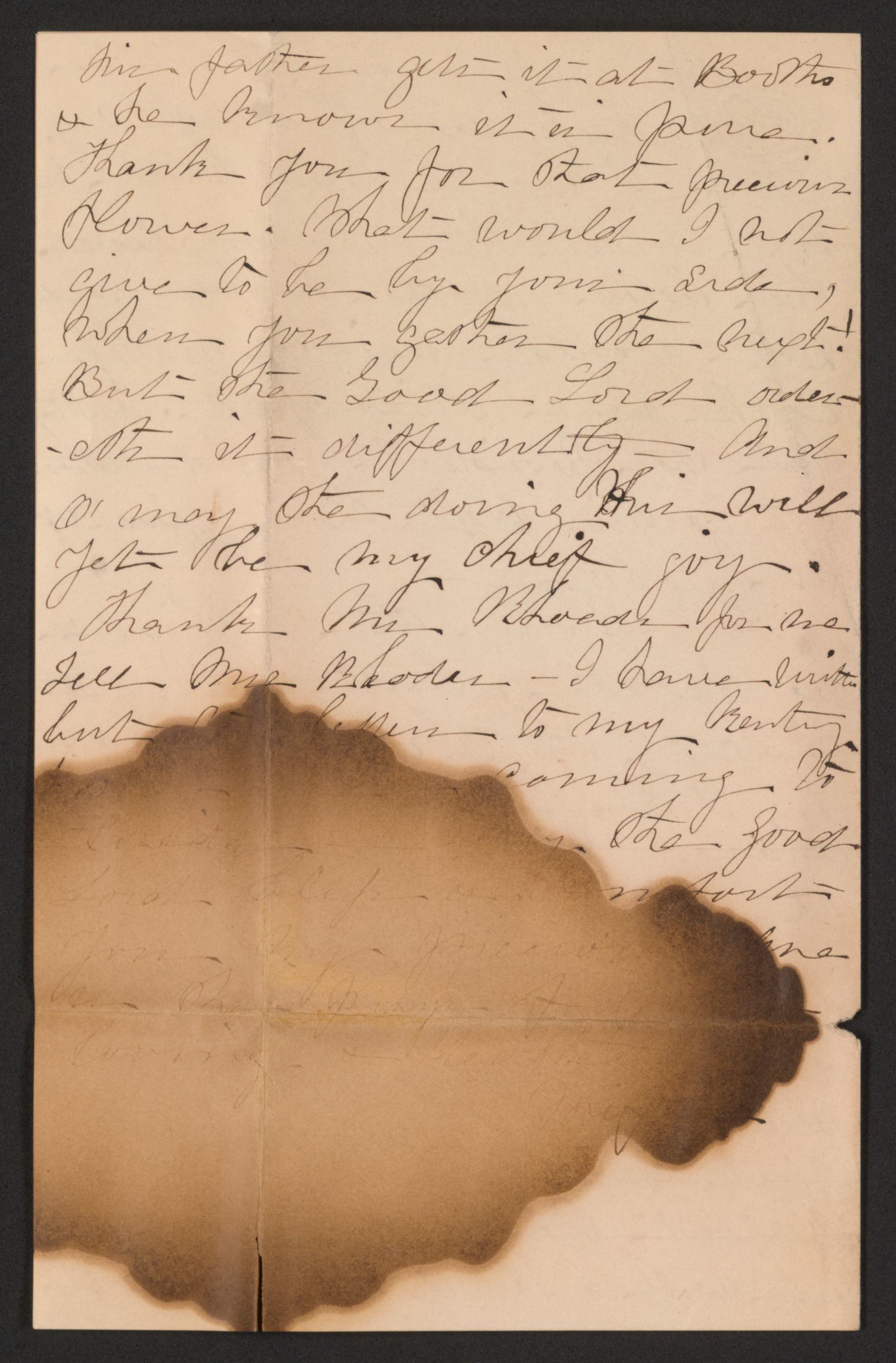 mss263850113-12