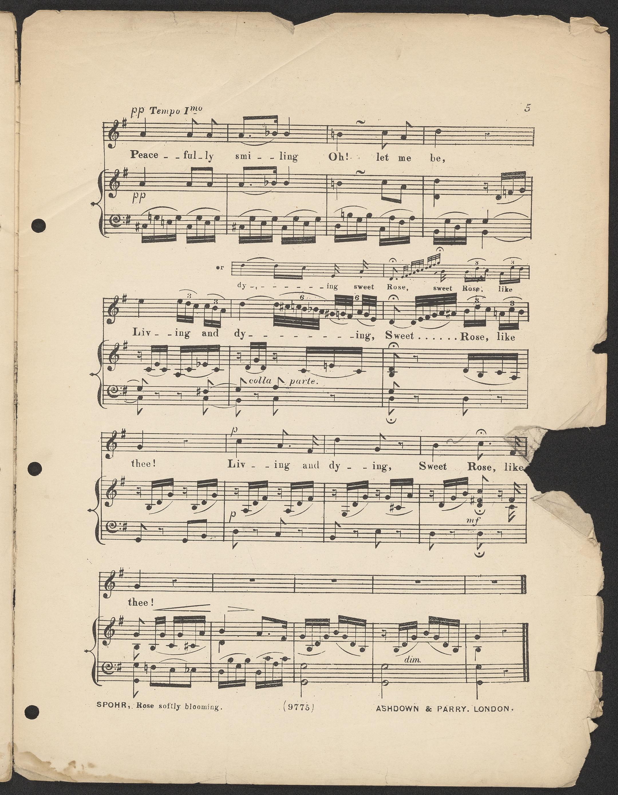 Scanned image of the current content page