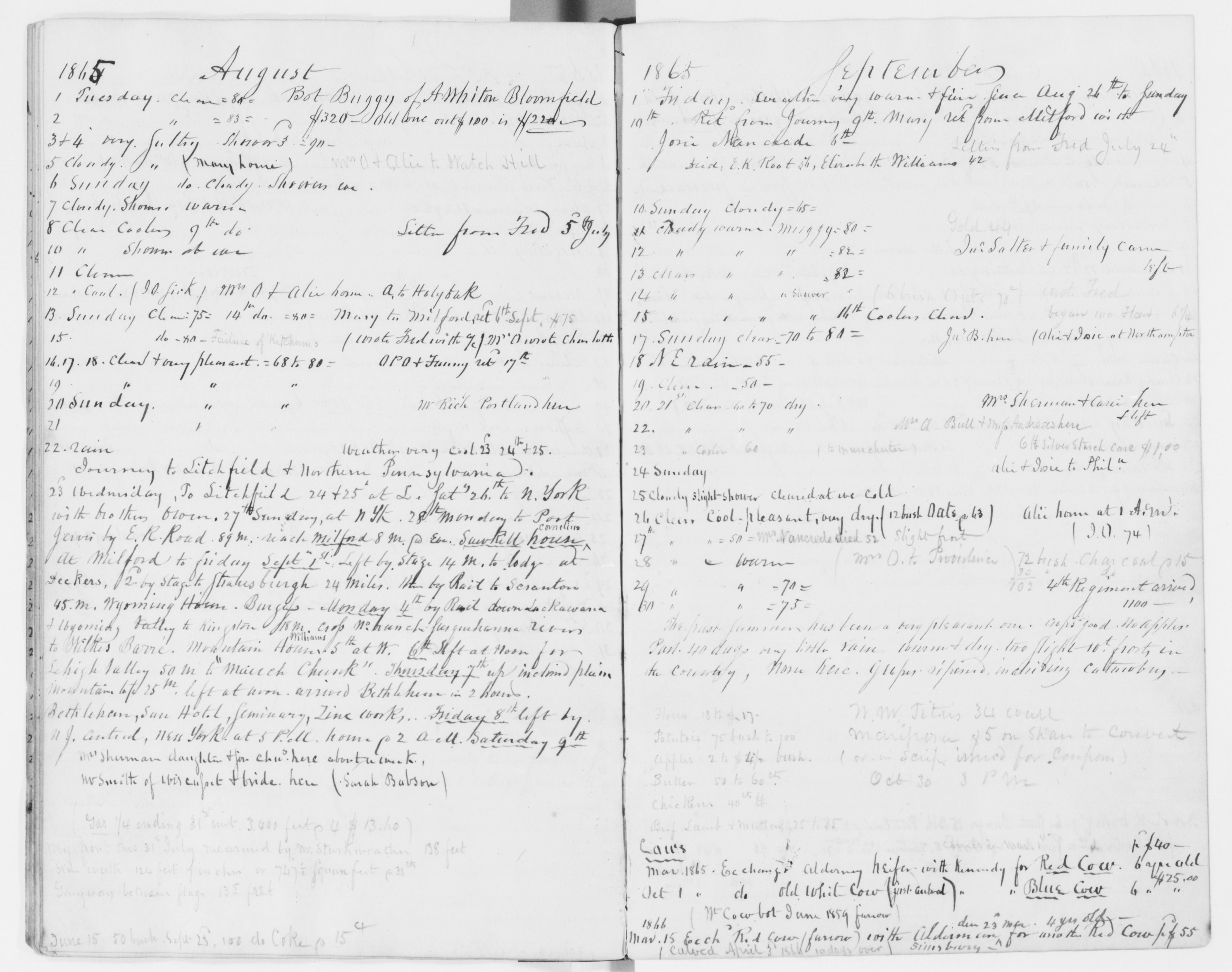 mss351210011-118