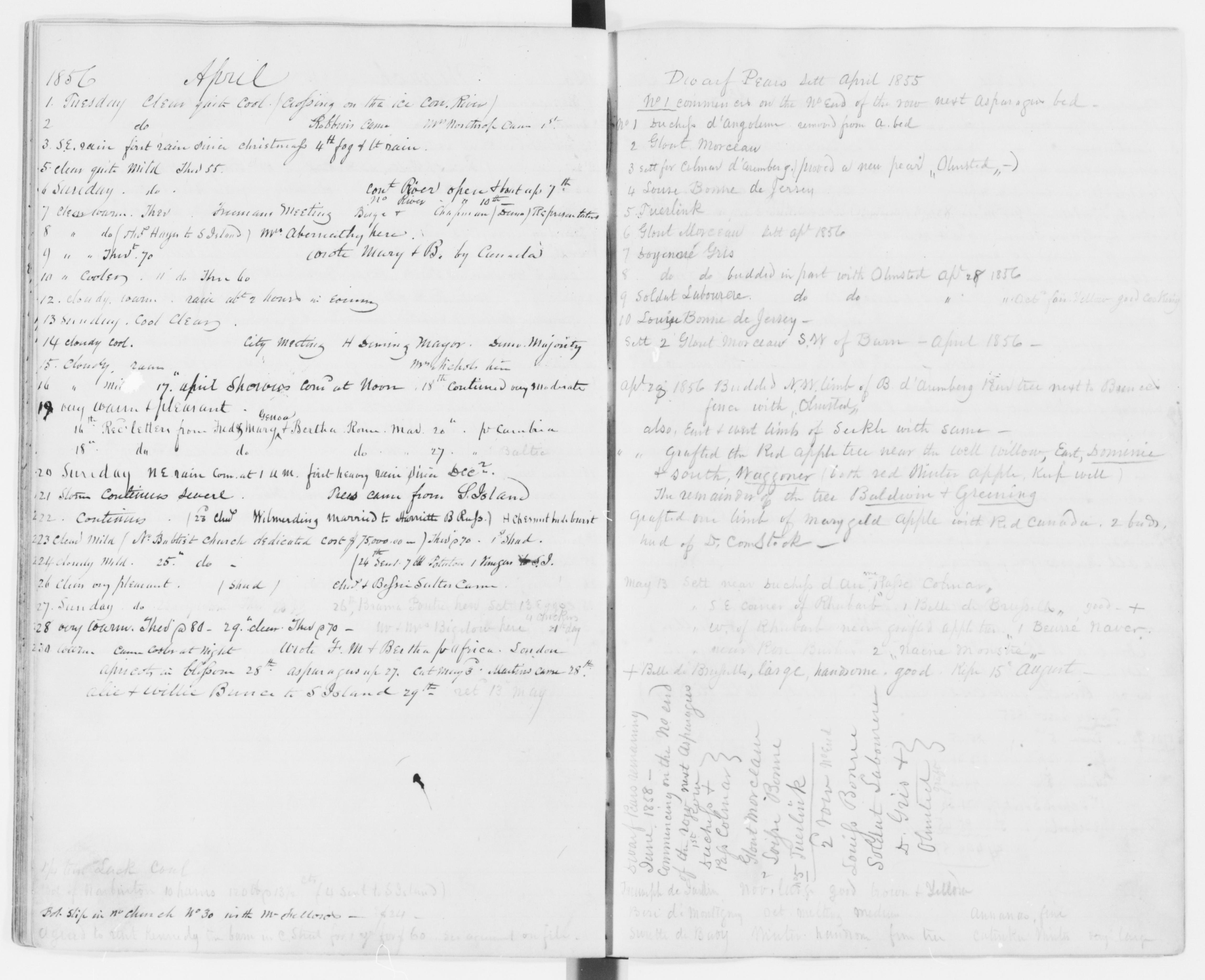 mss351210011-60