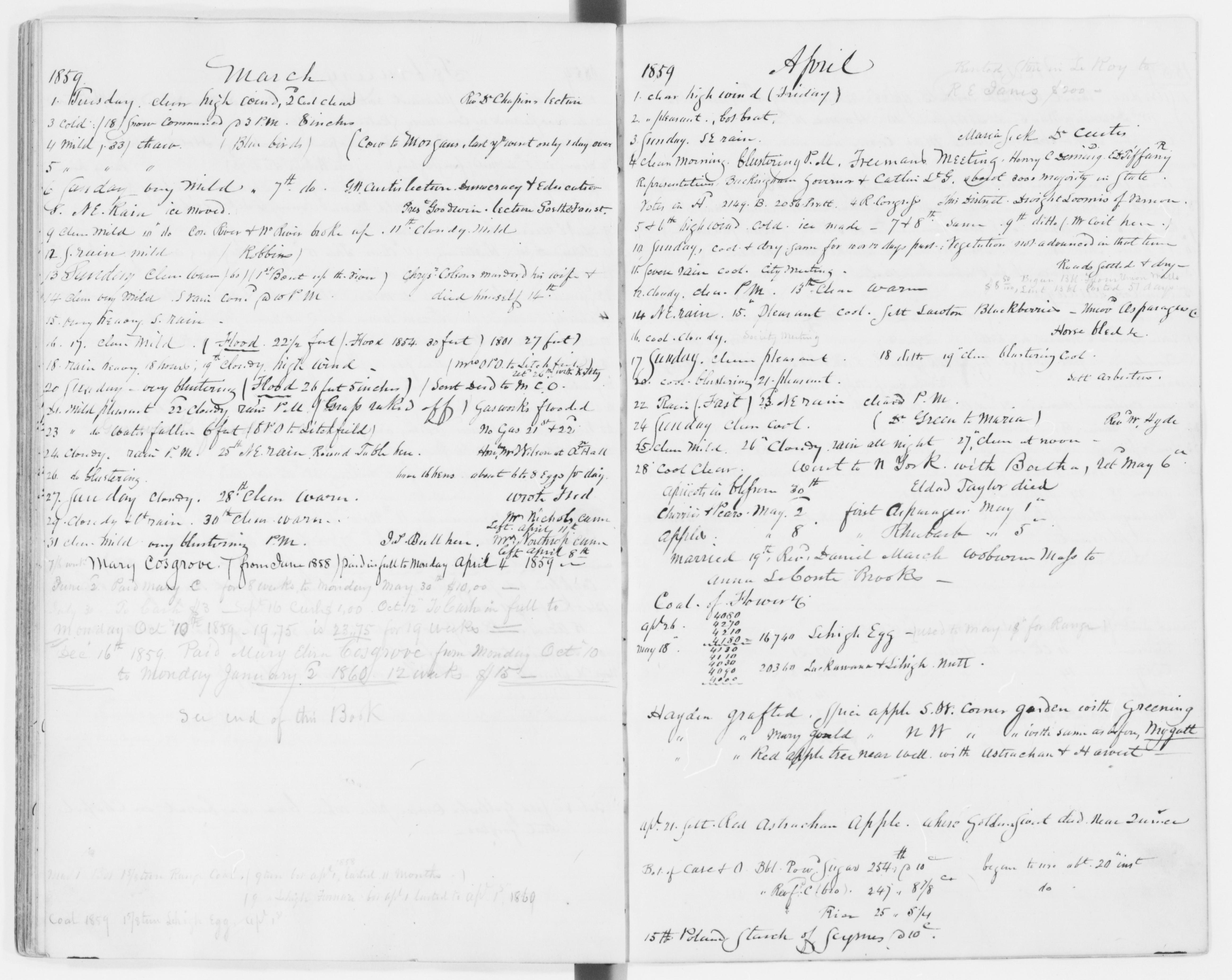 mss351210011-79