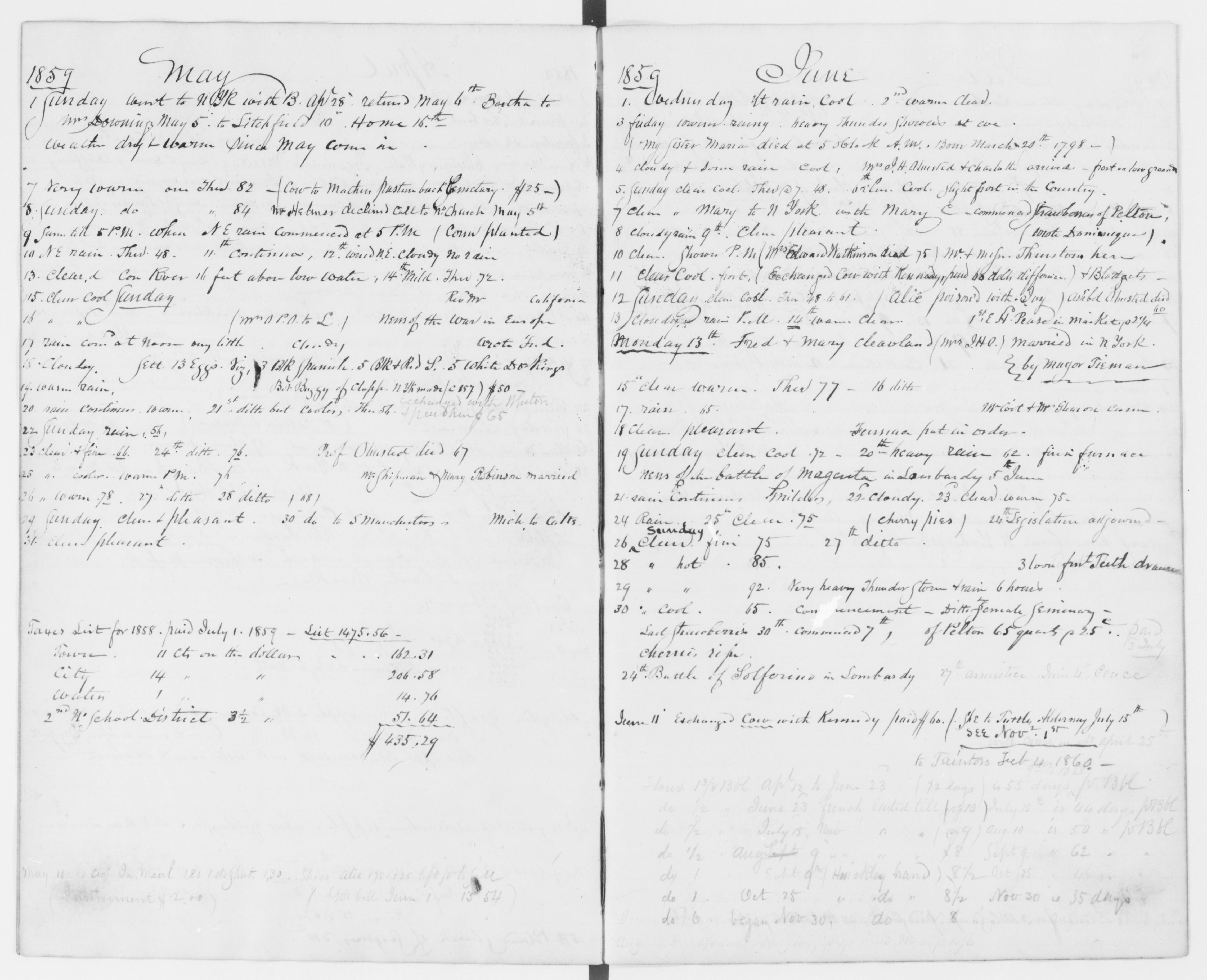 mss351210011-80