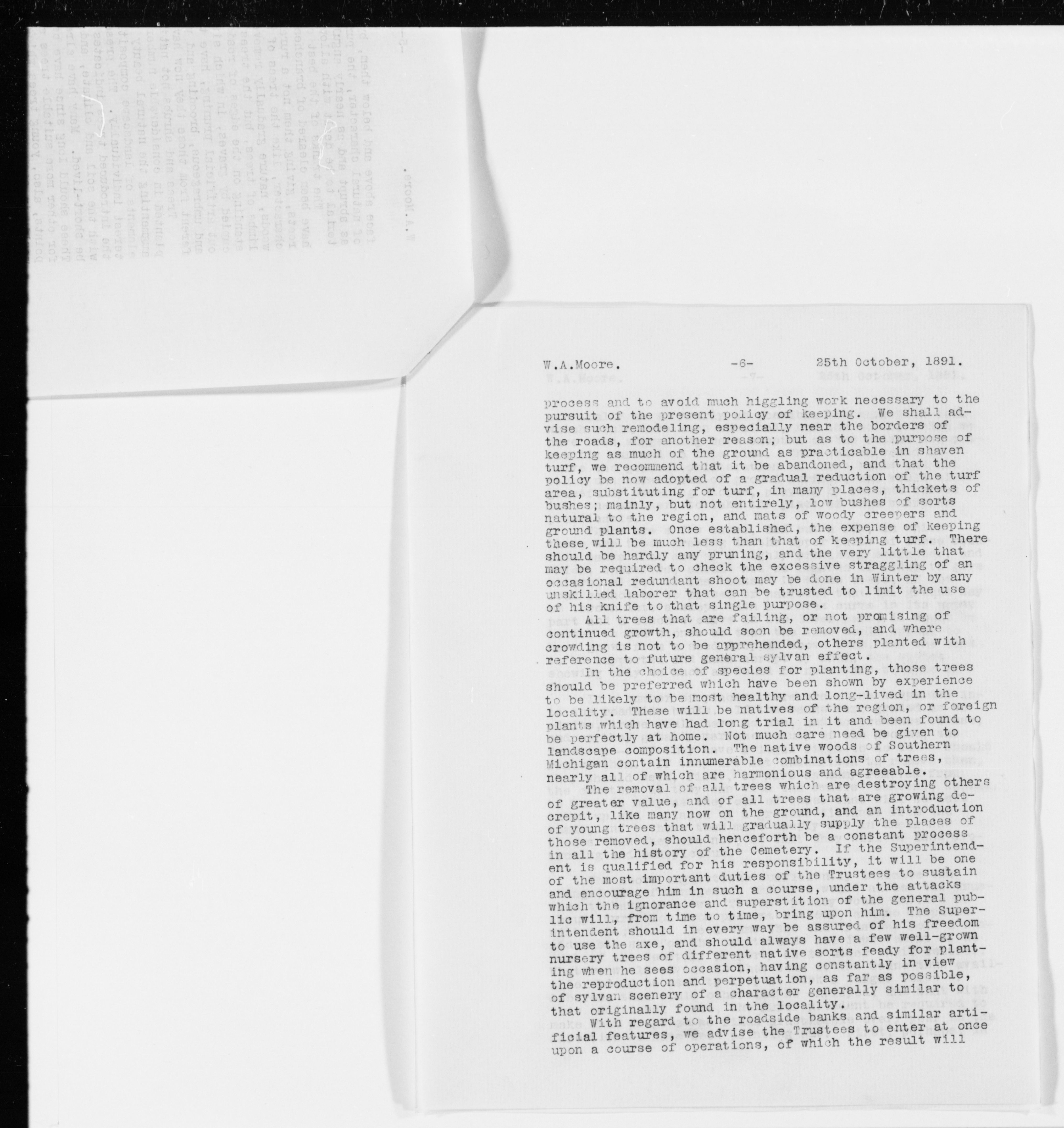 mss351210205-25