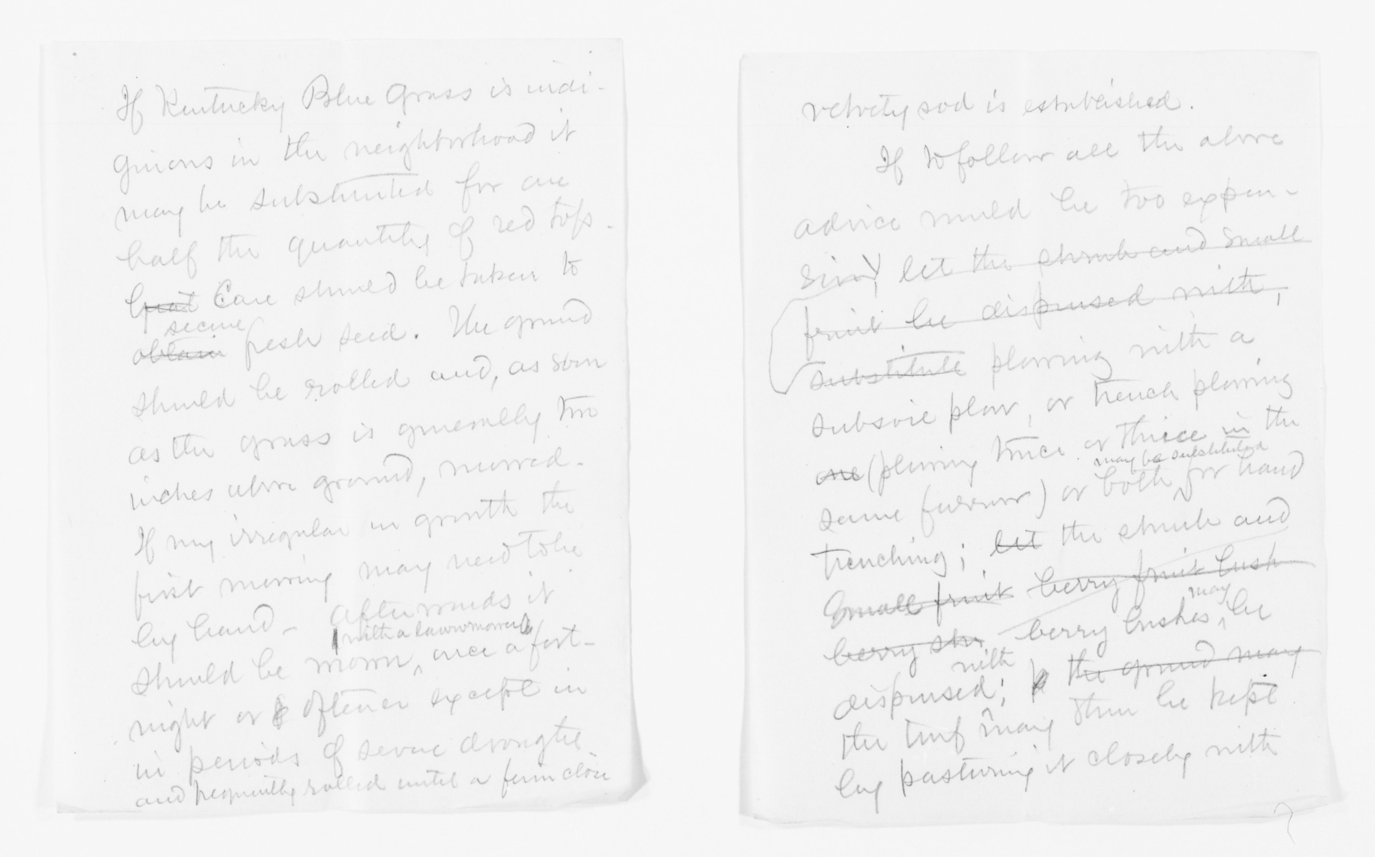 Scanned image of the current content page