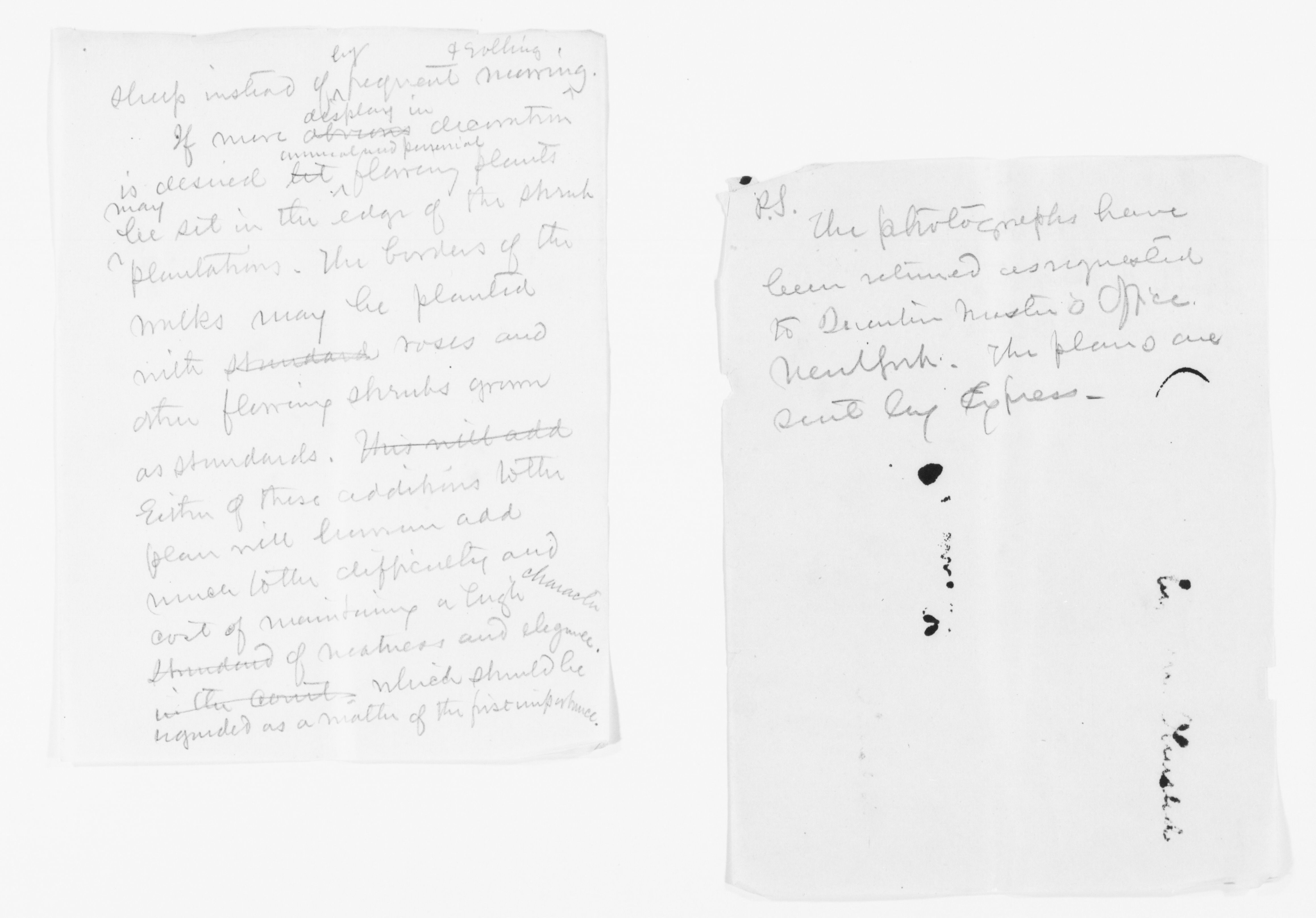 Scanned image of the current content page