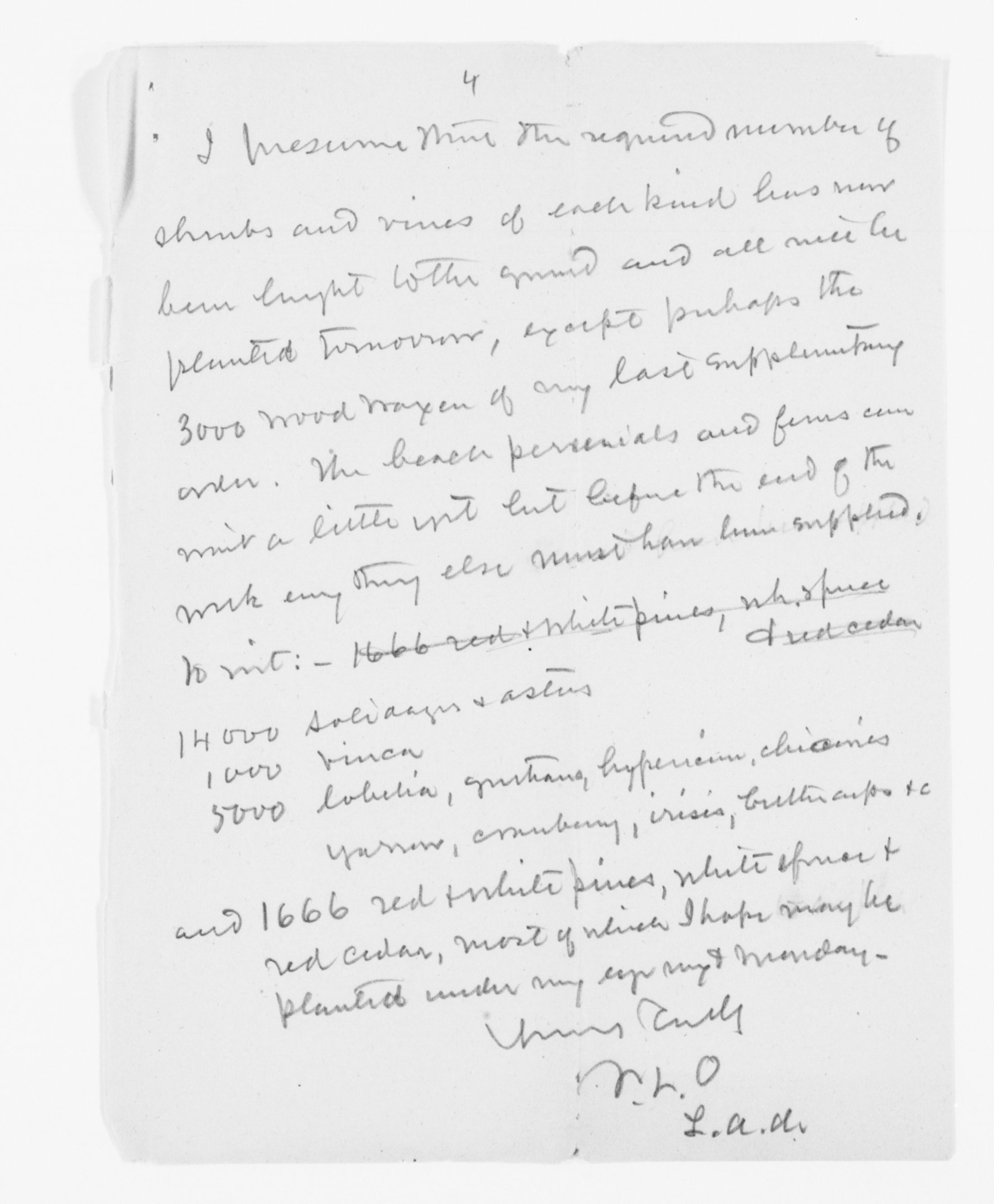 mss351210248-35
