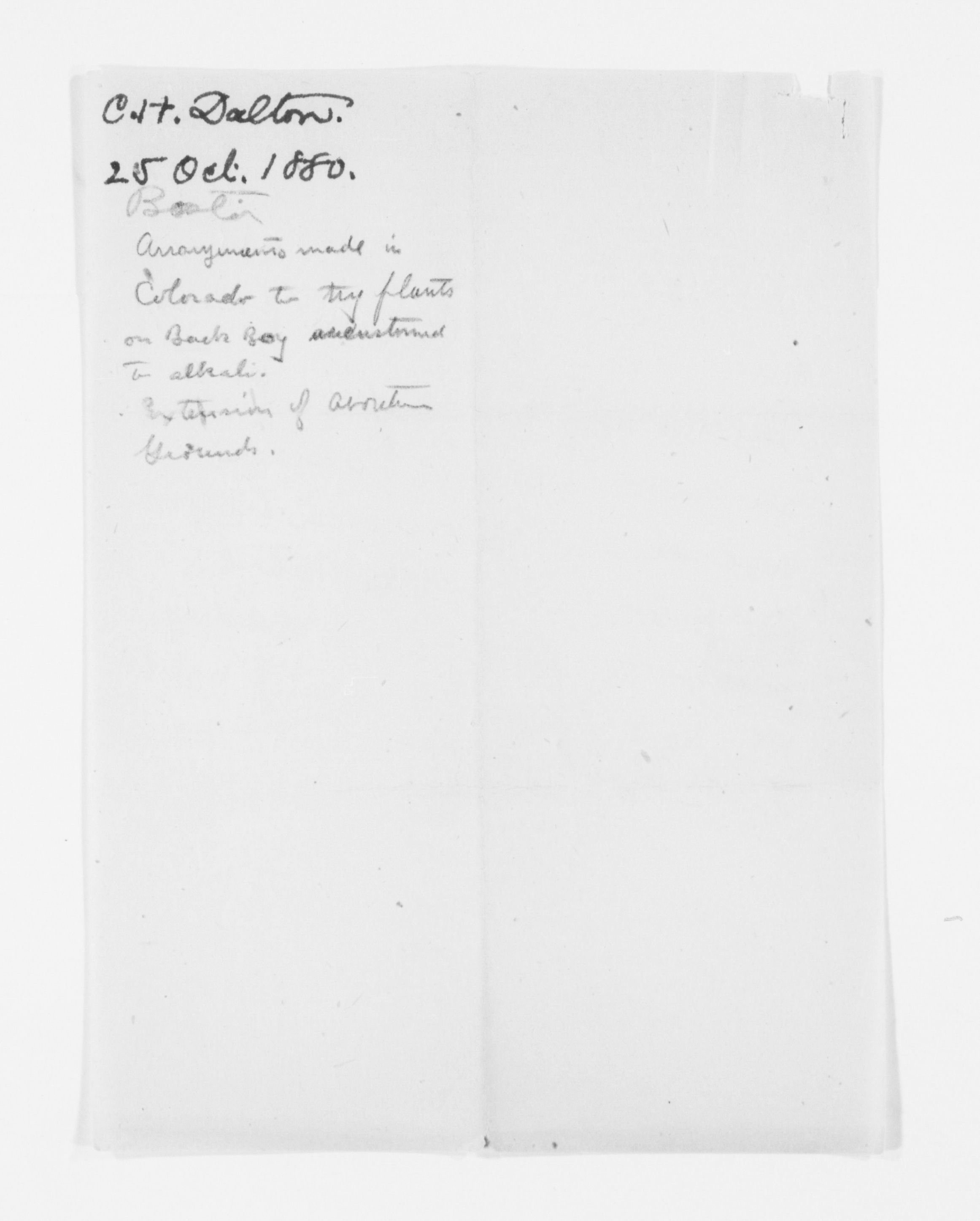mss351210257-164