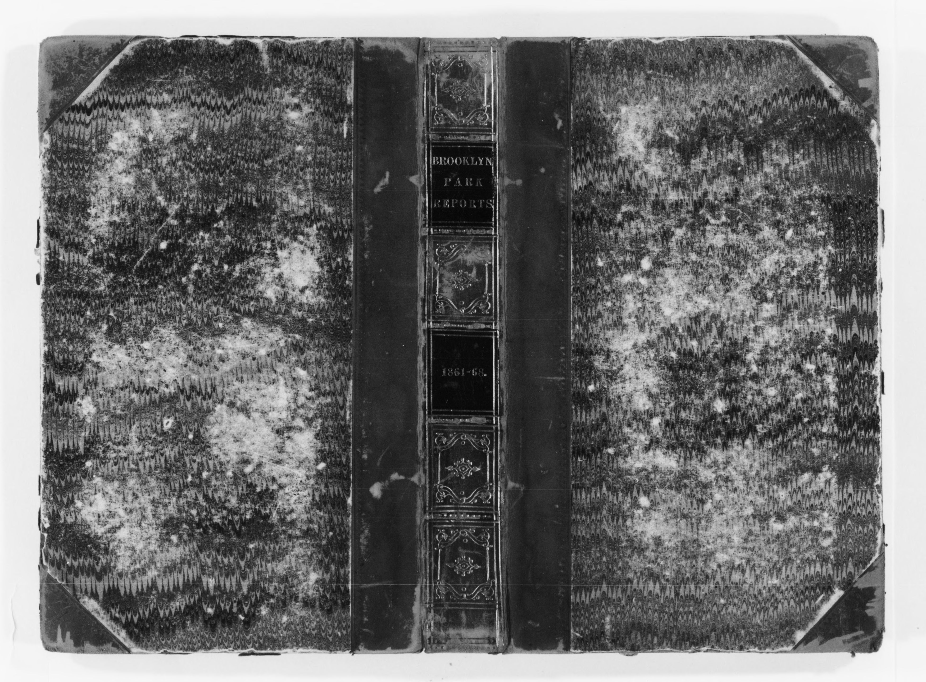 mss351210265-2