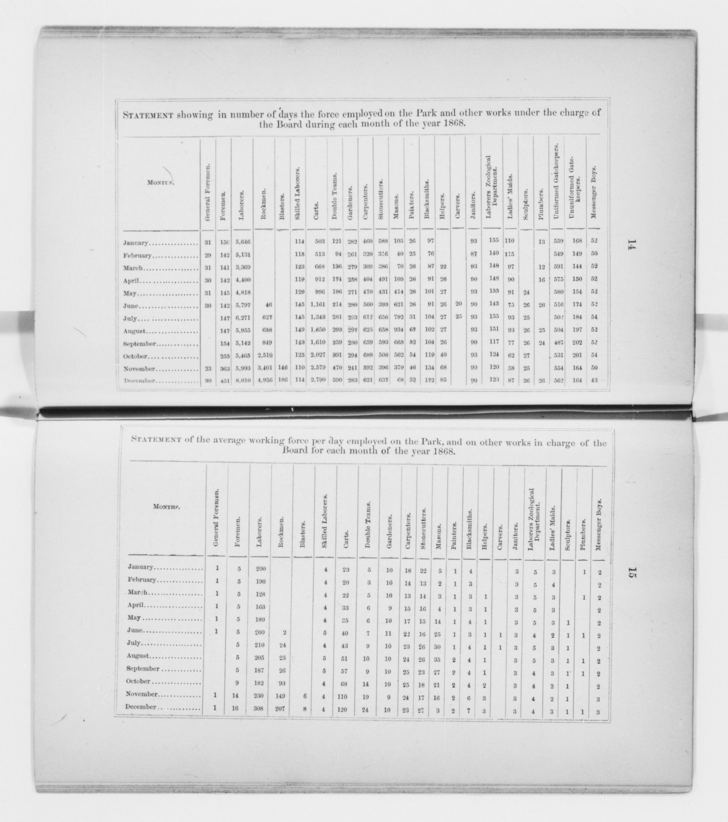 mss351210339-10