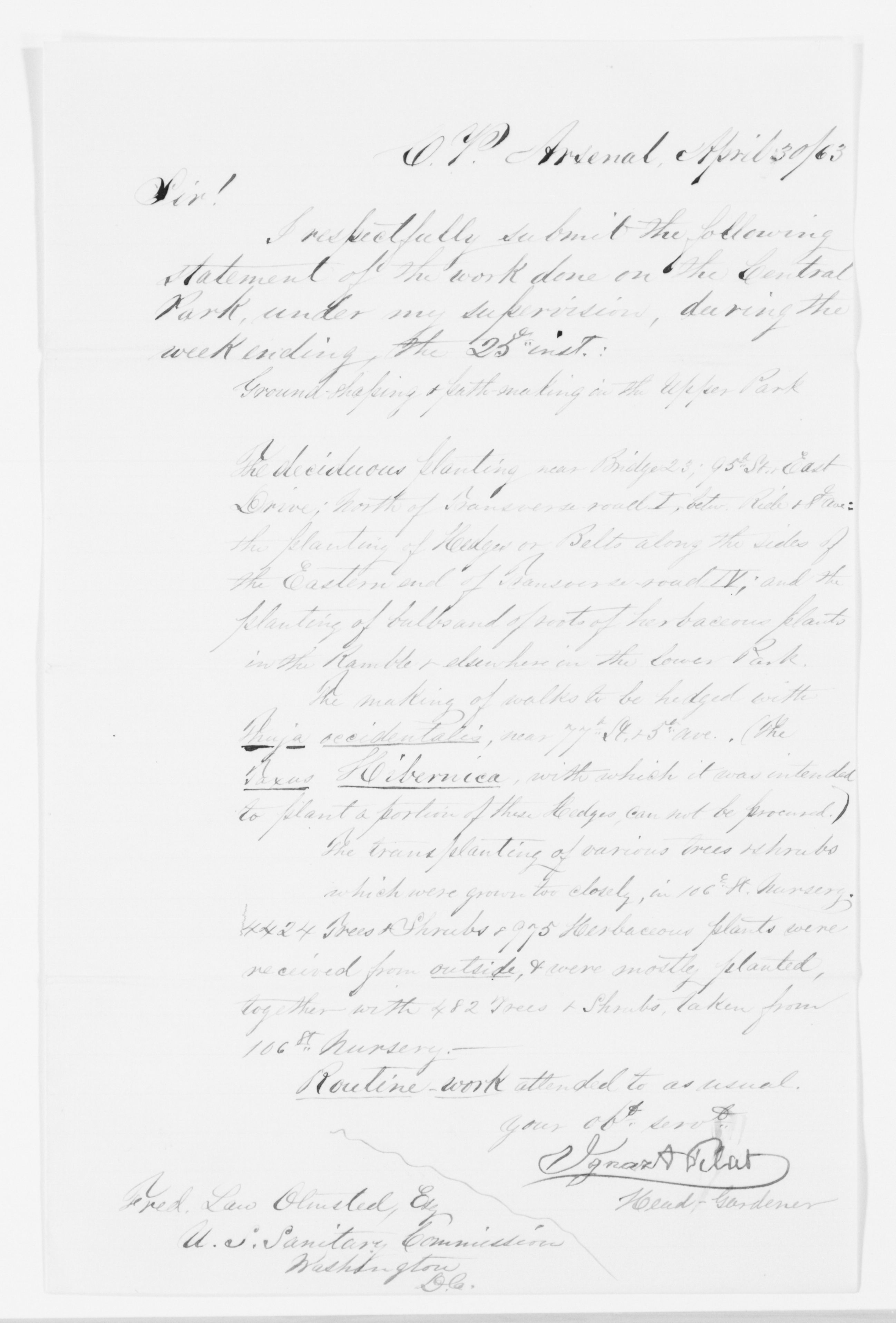 Scanned image of the current content page
