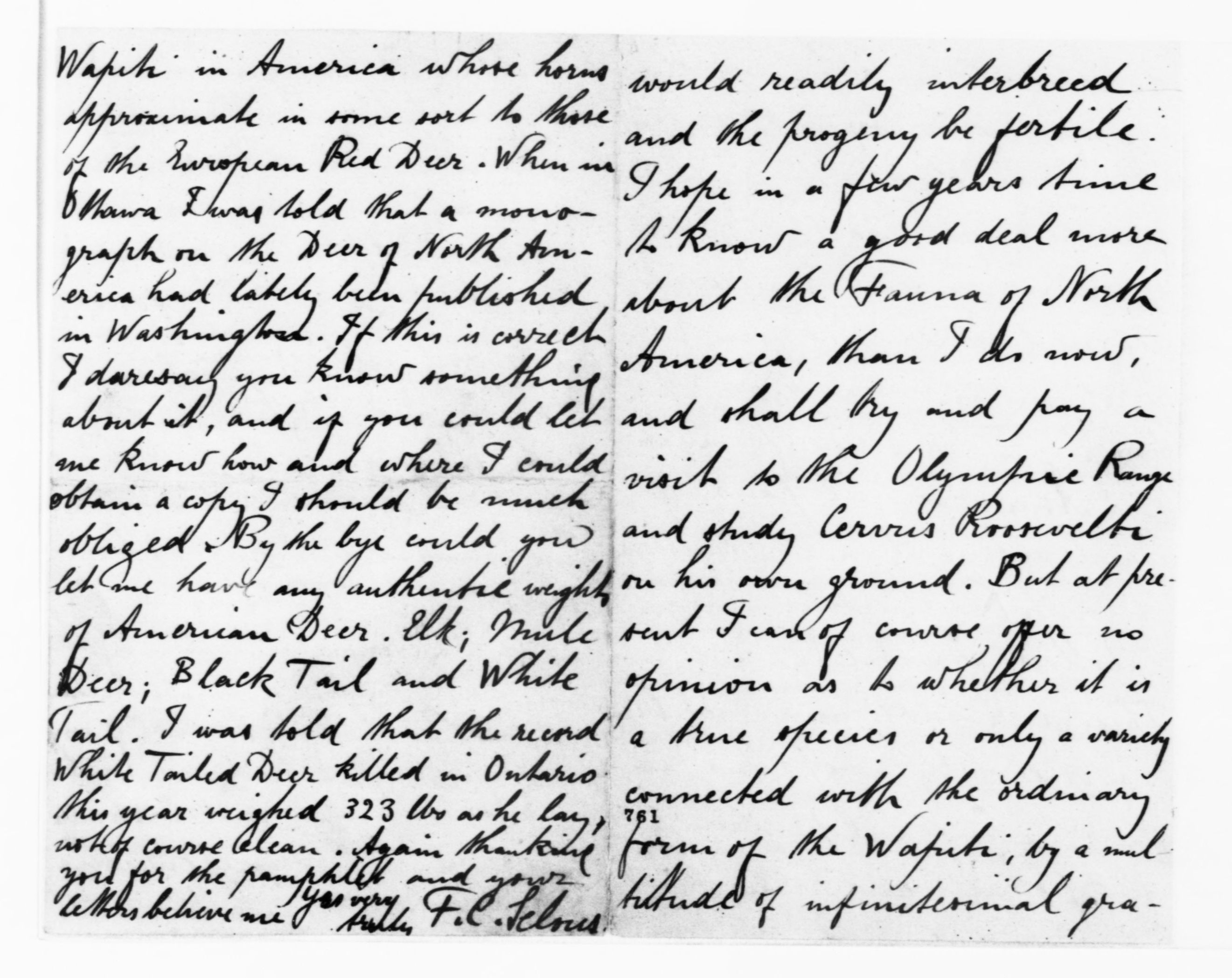 Scanned image of the current content page