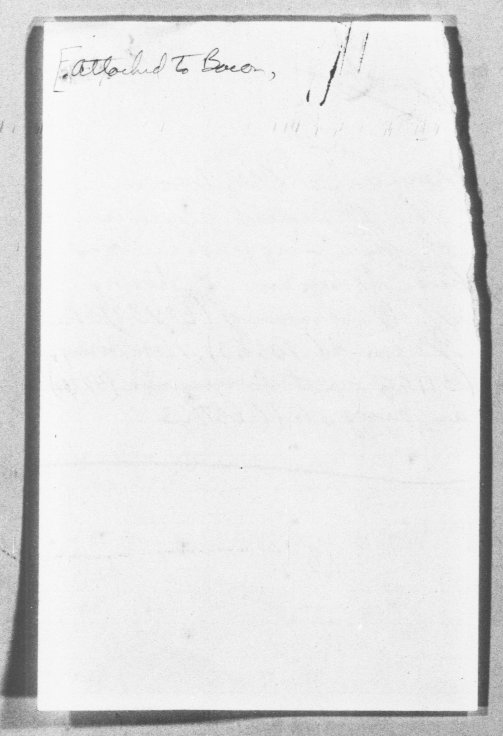 mss382990031-875