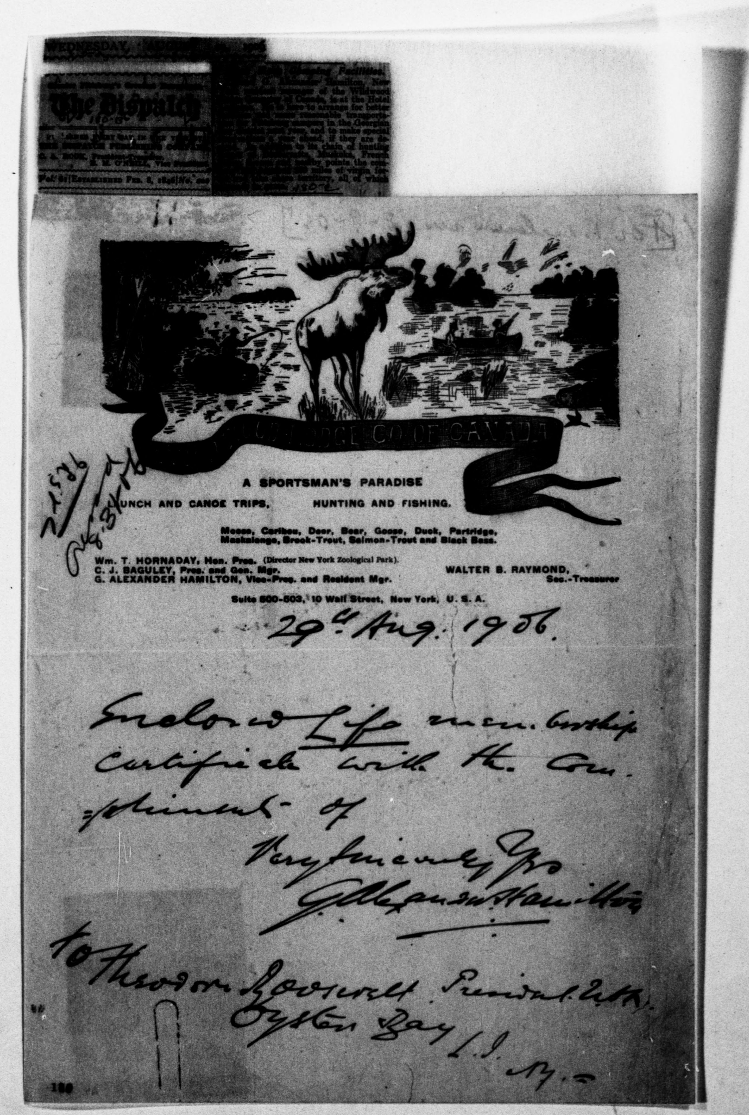 Scanned image of the current content page