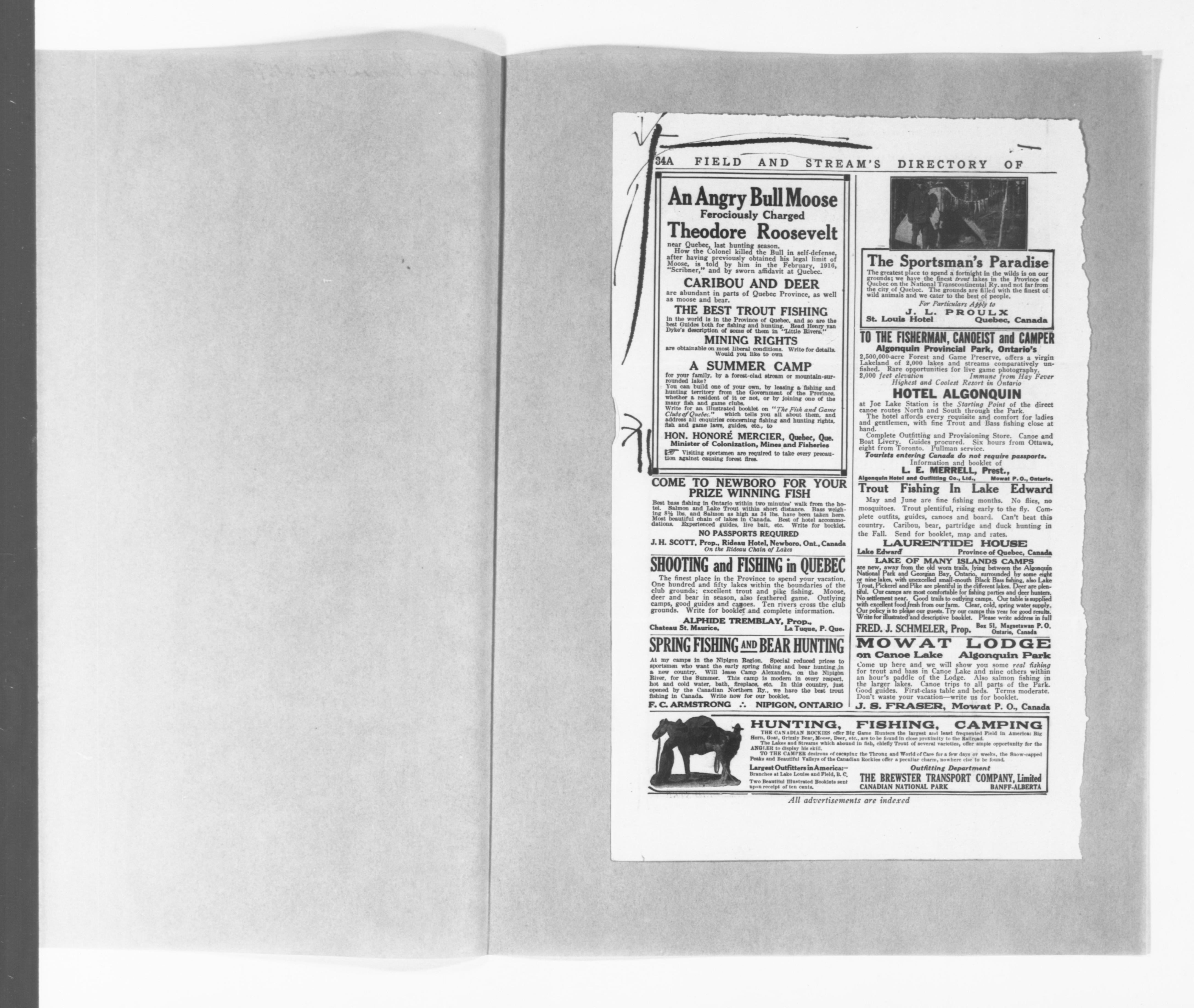 Scanned image of the current content page