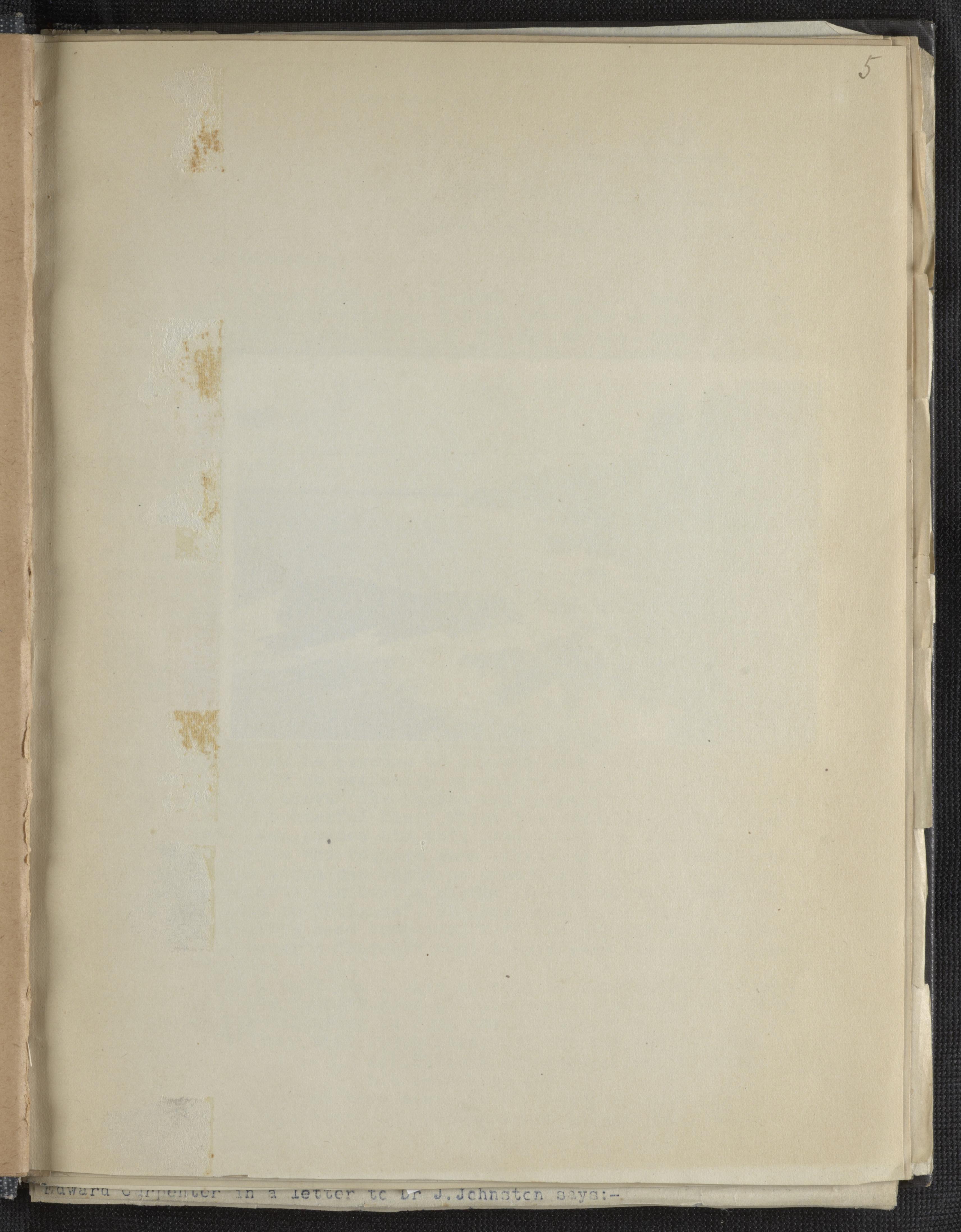mss1863002611-10