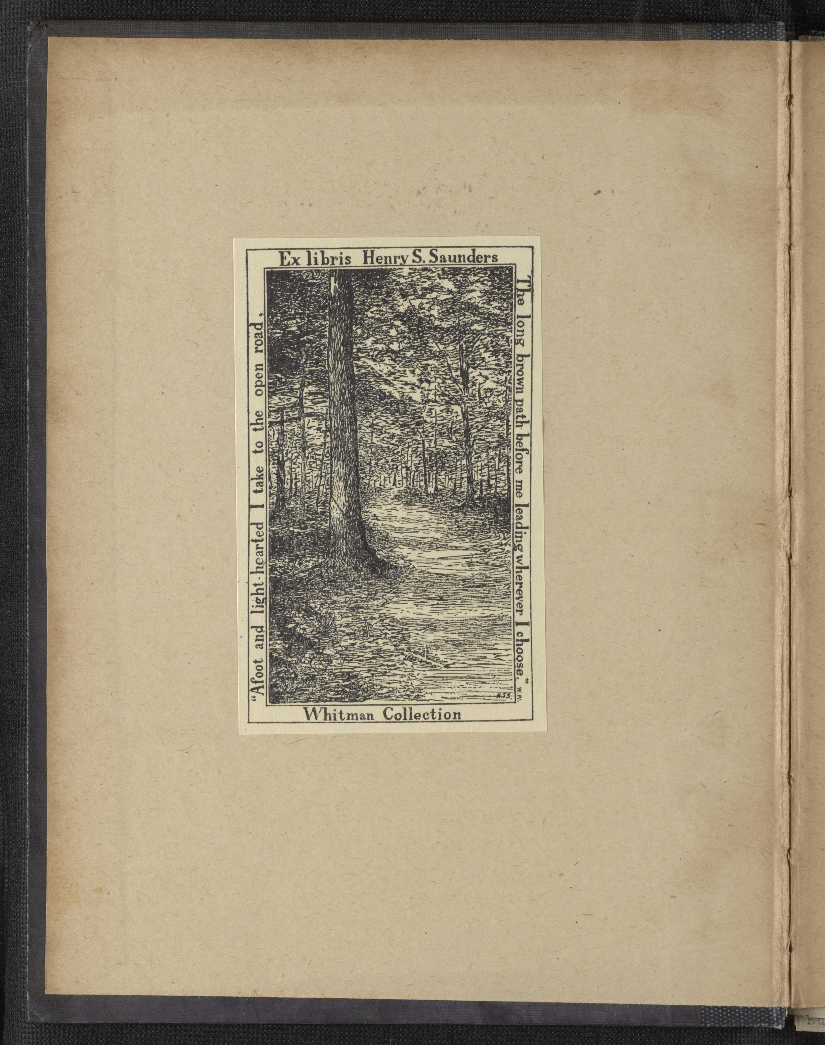 mss1863002611-3