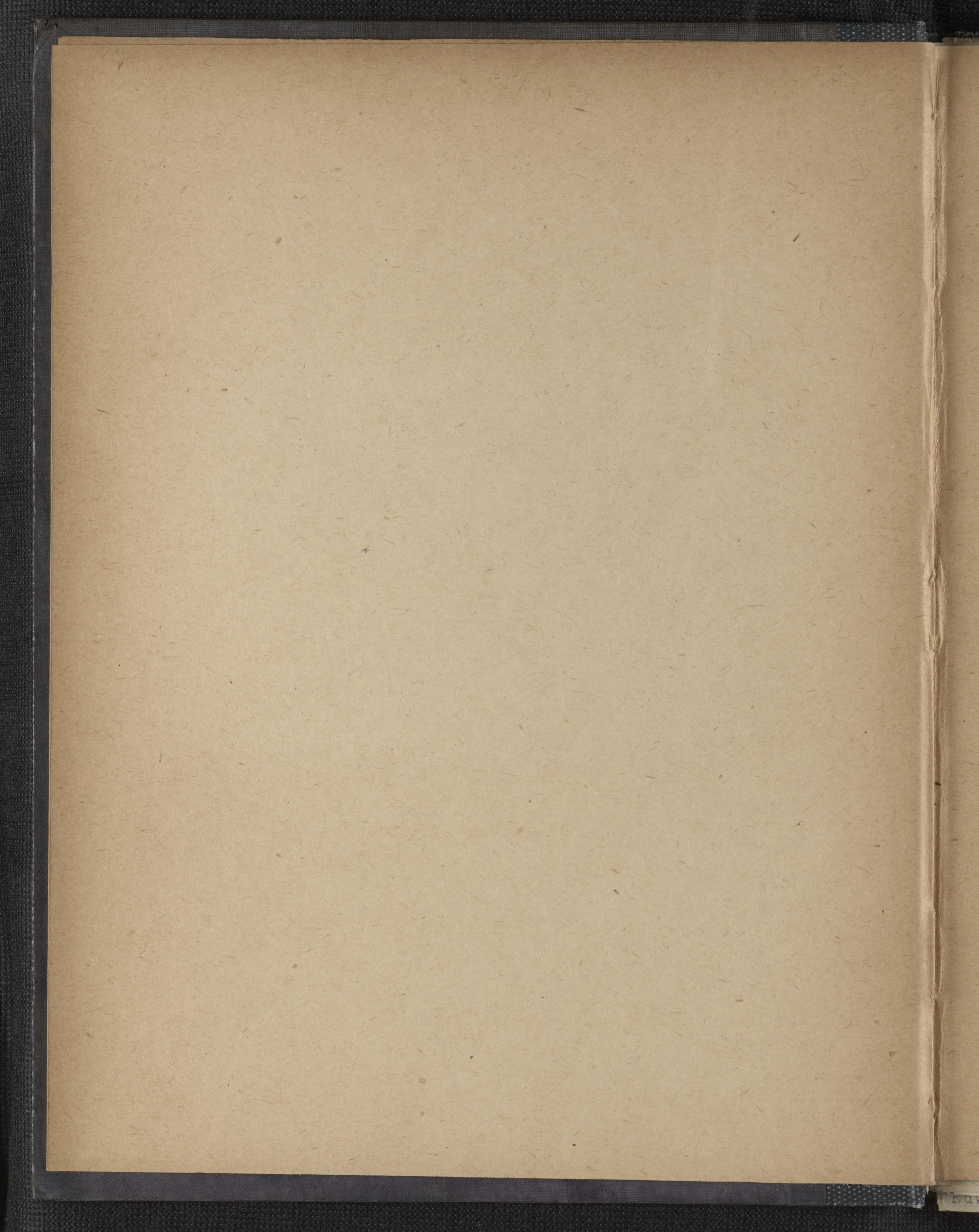 mss1863002611-7