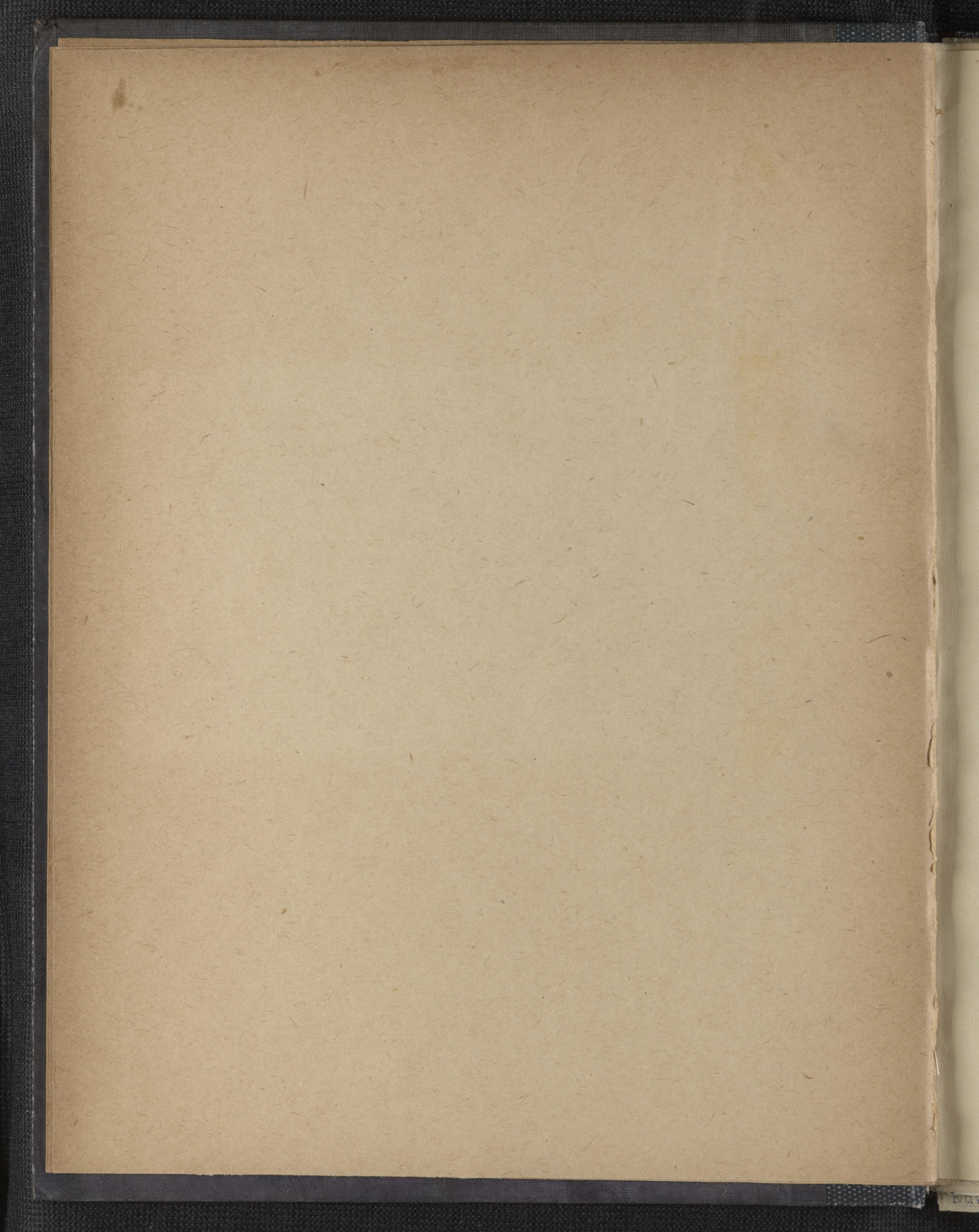 mss1863002611-9