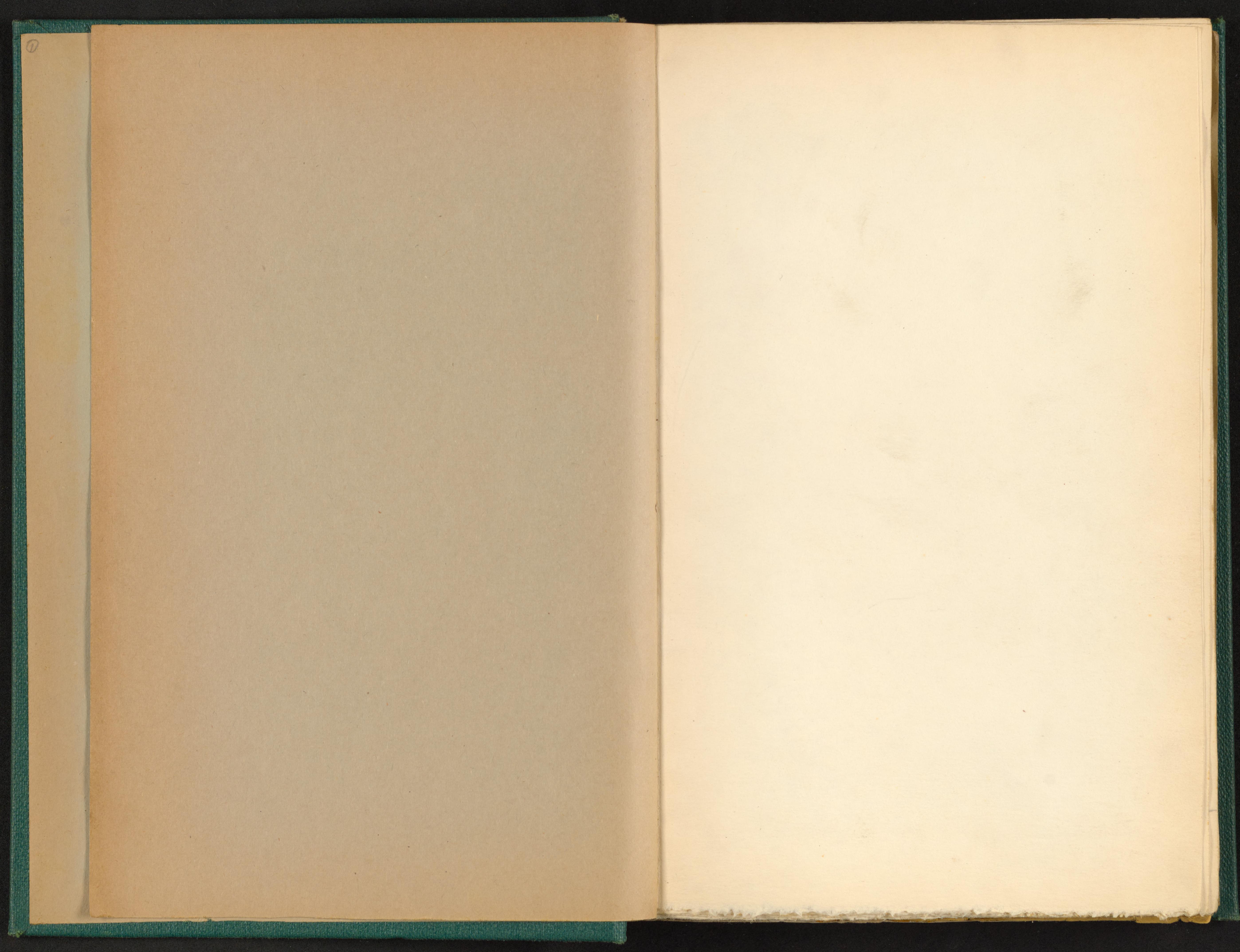 mss1863002612-4