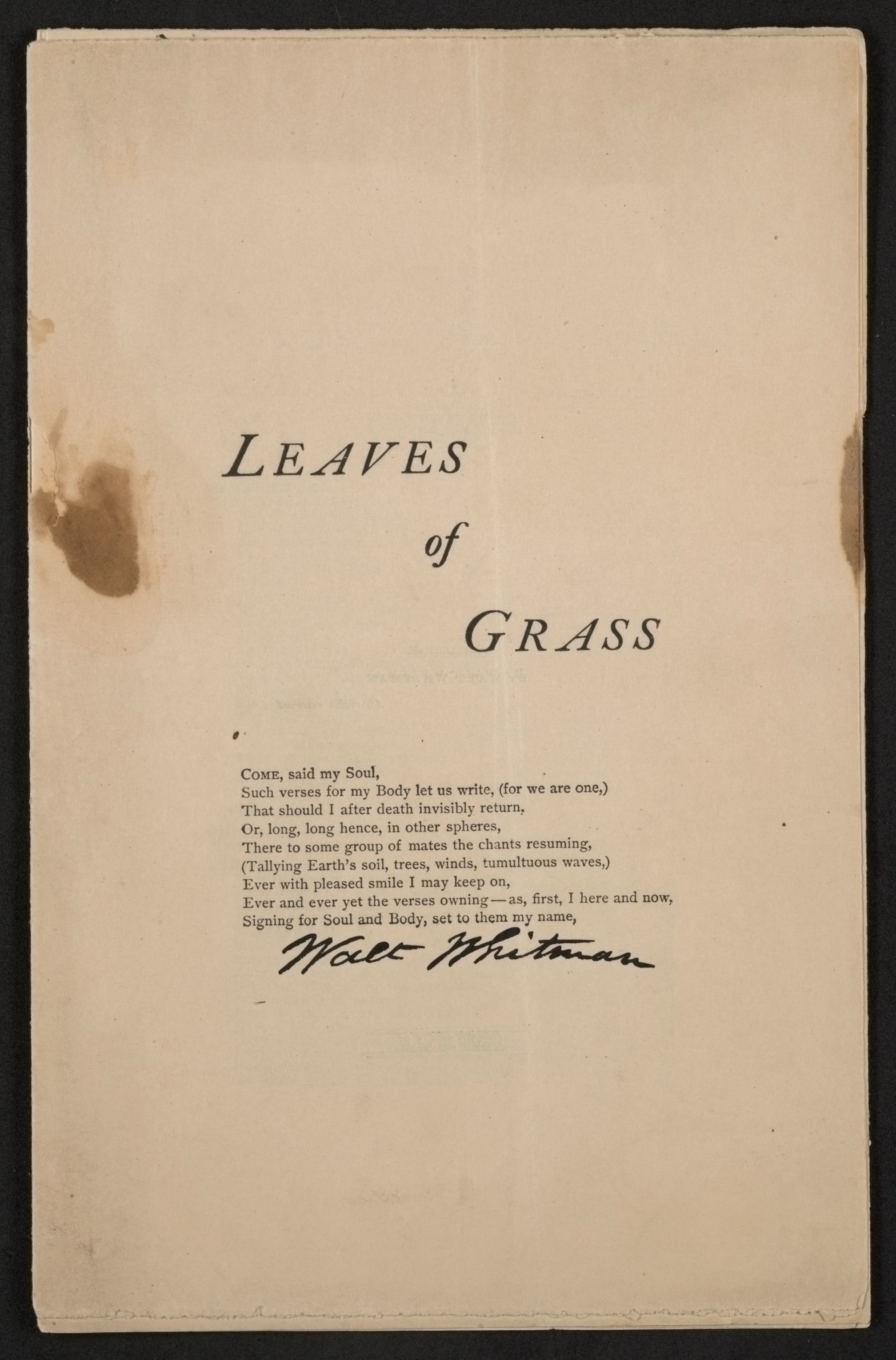 mss1863000448-14