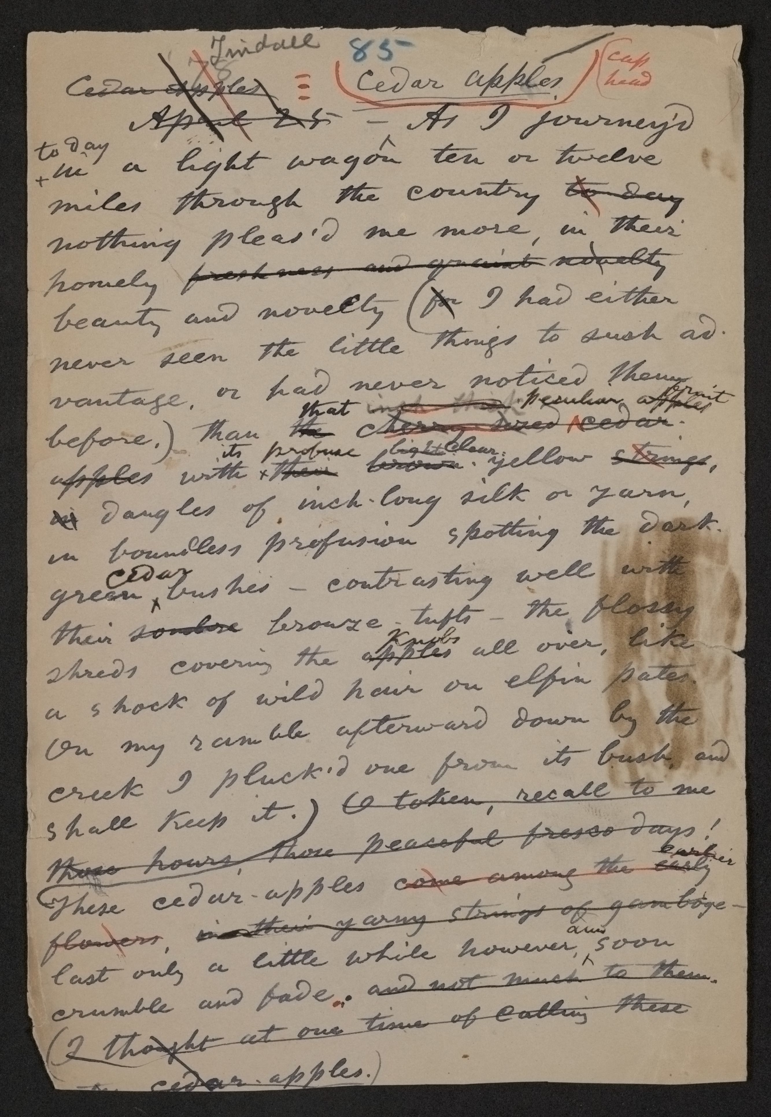 Scanned image of the current content page