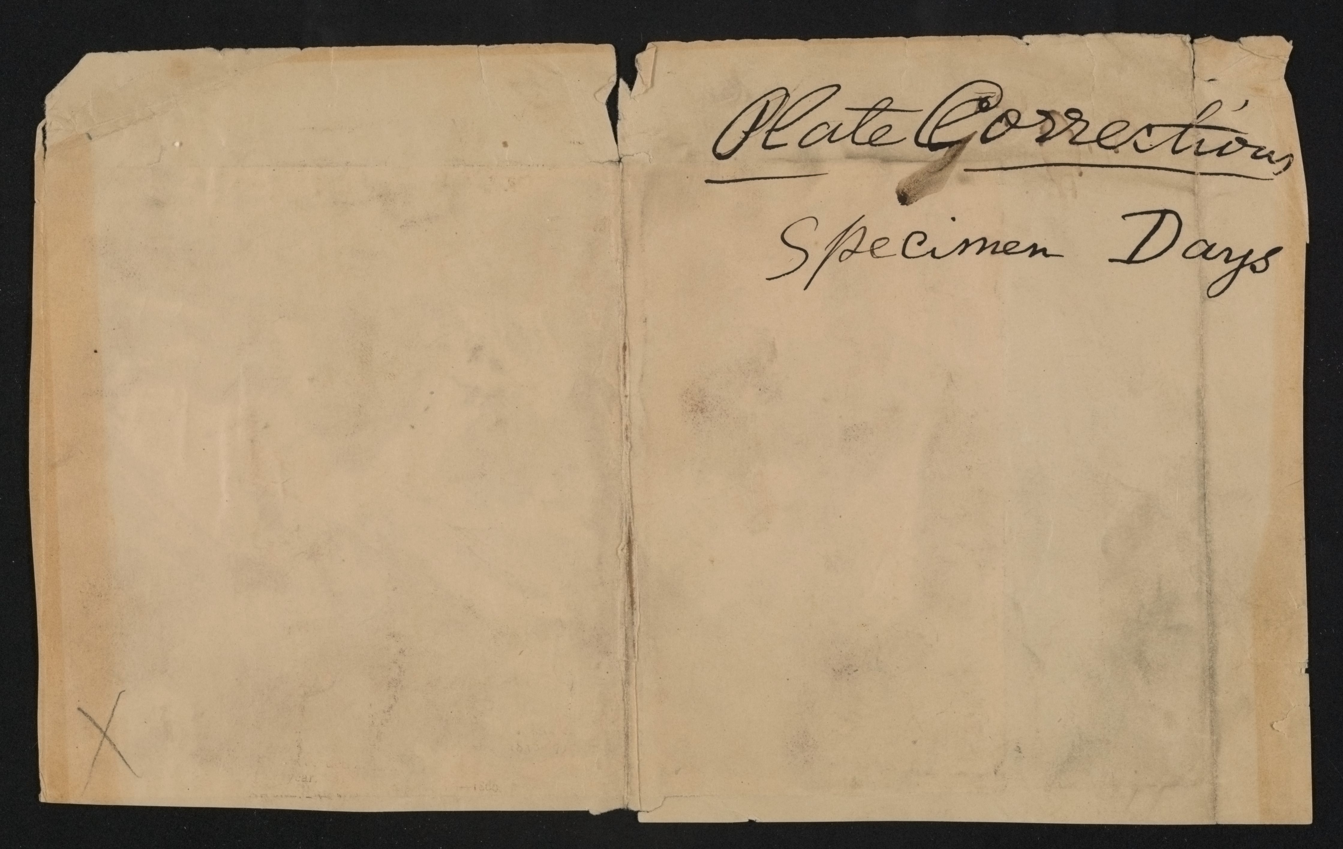 mss1863000559-5