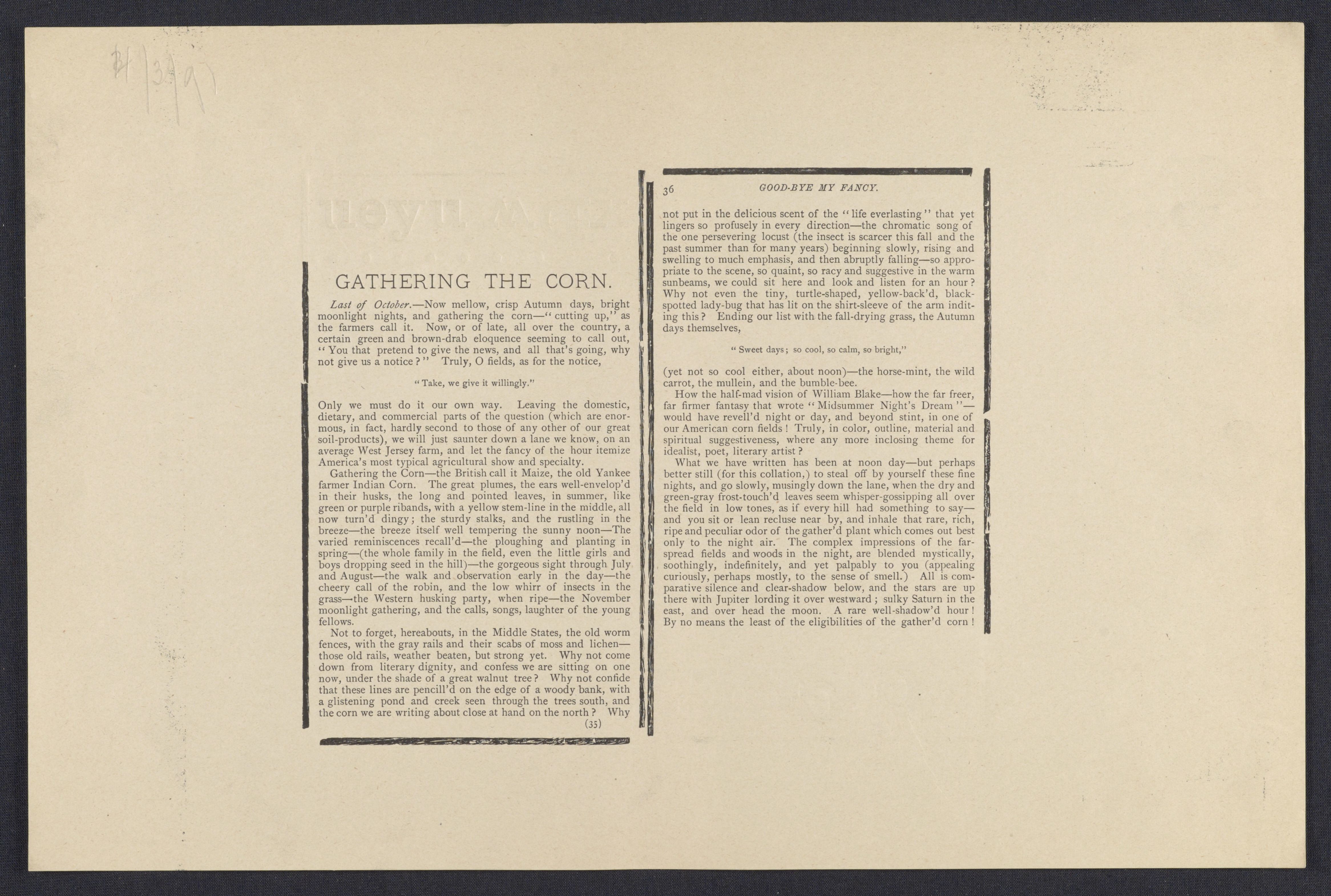 Scanned image of the current content page