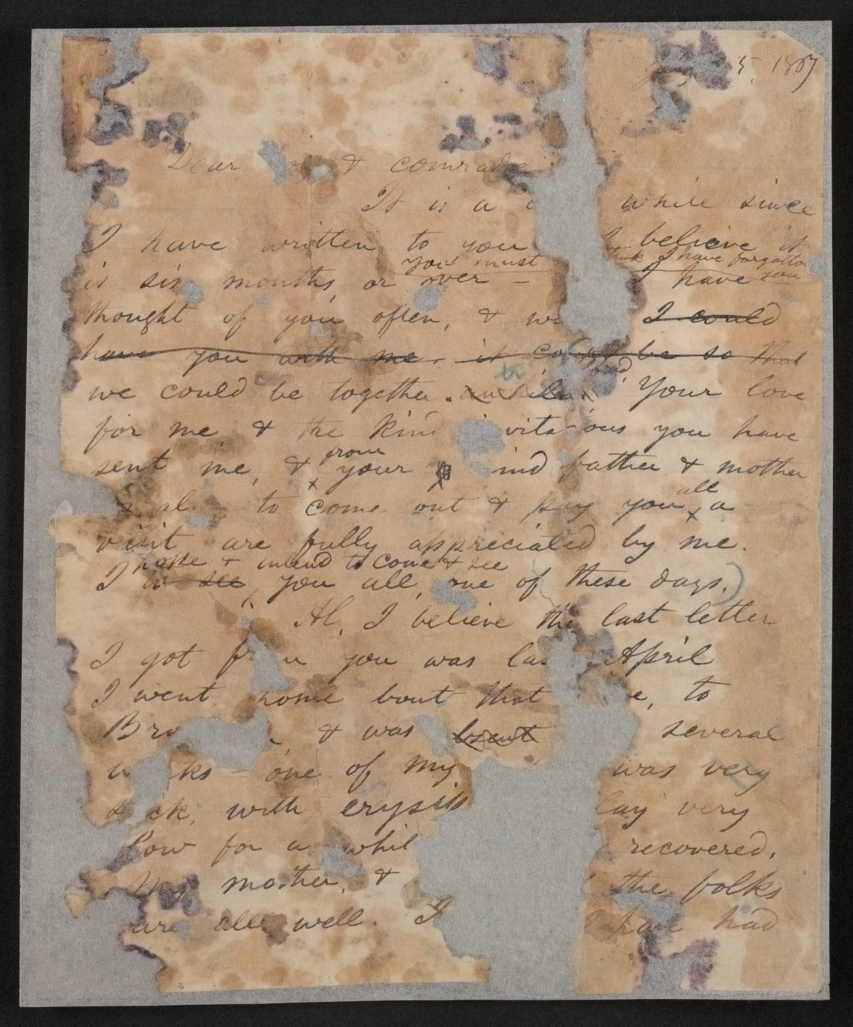 mss1863000313-11