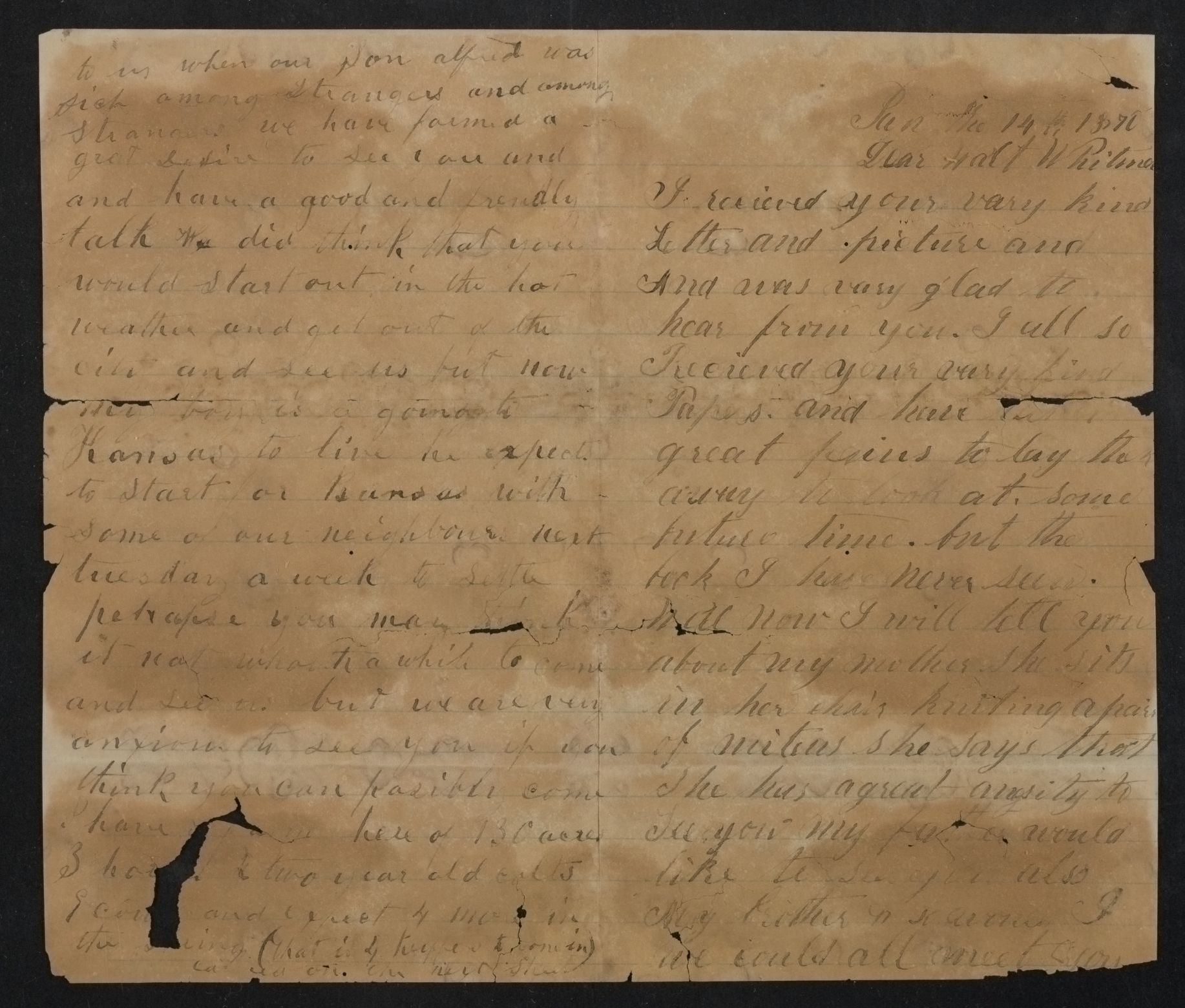 mss1863000313-25