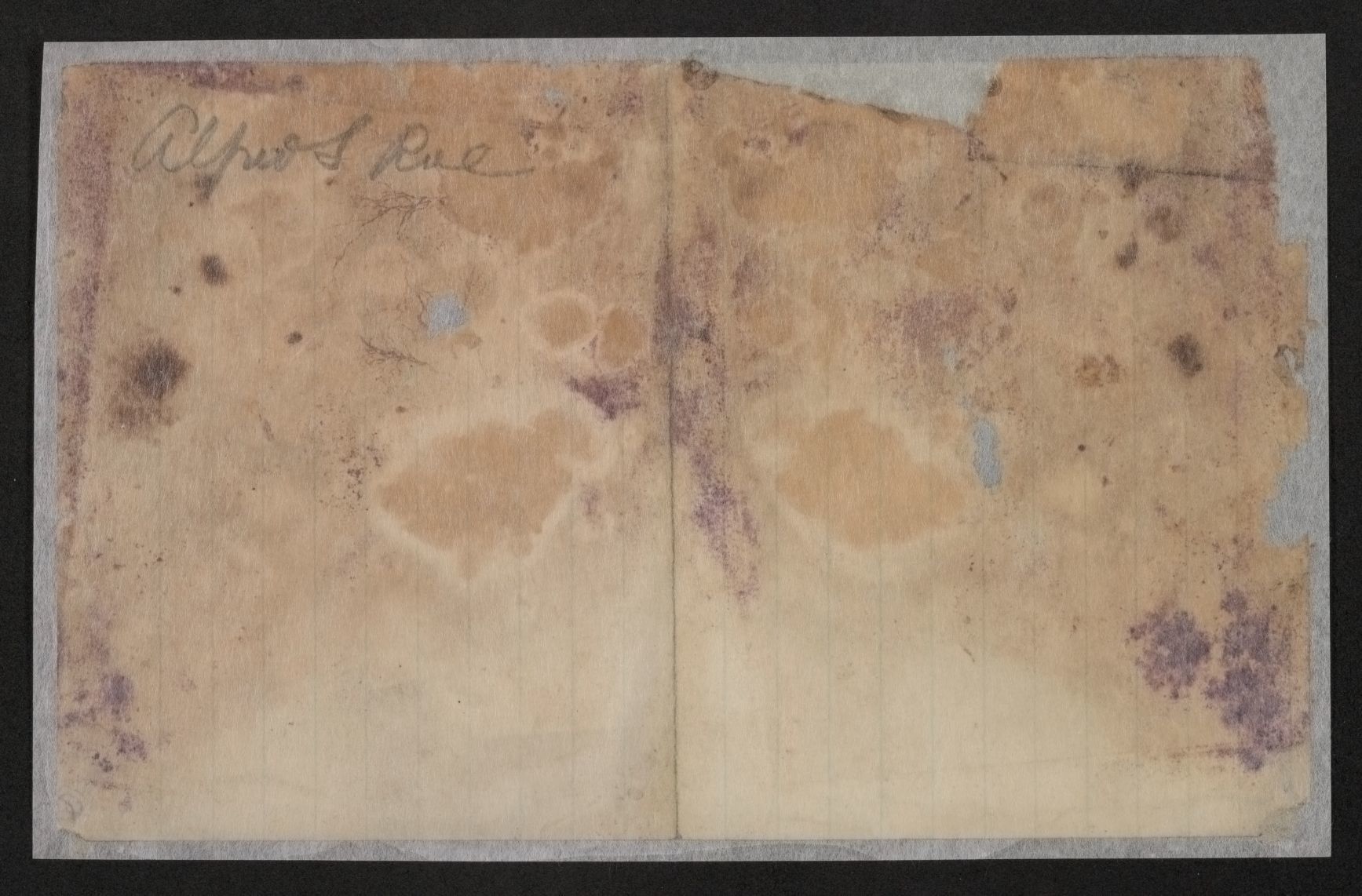 mss1863000316-20