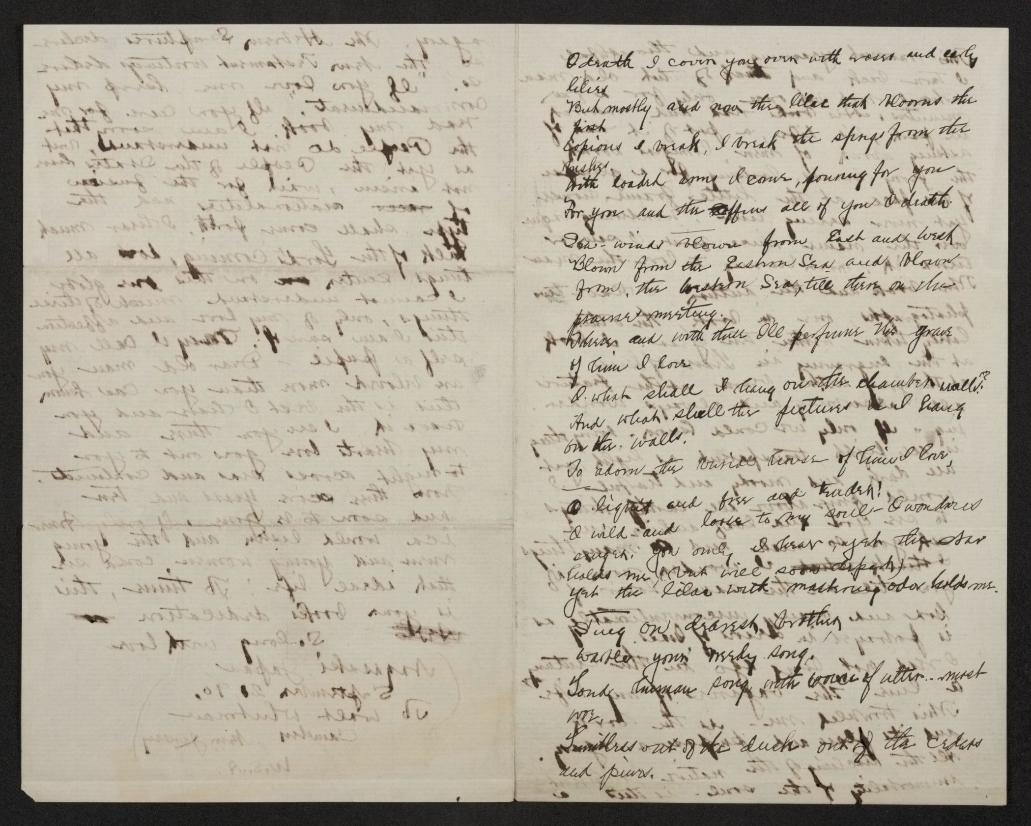 mss1863000438-39