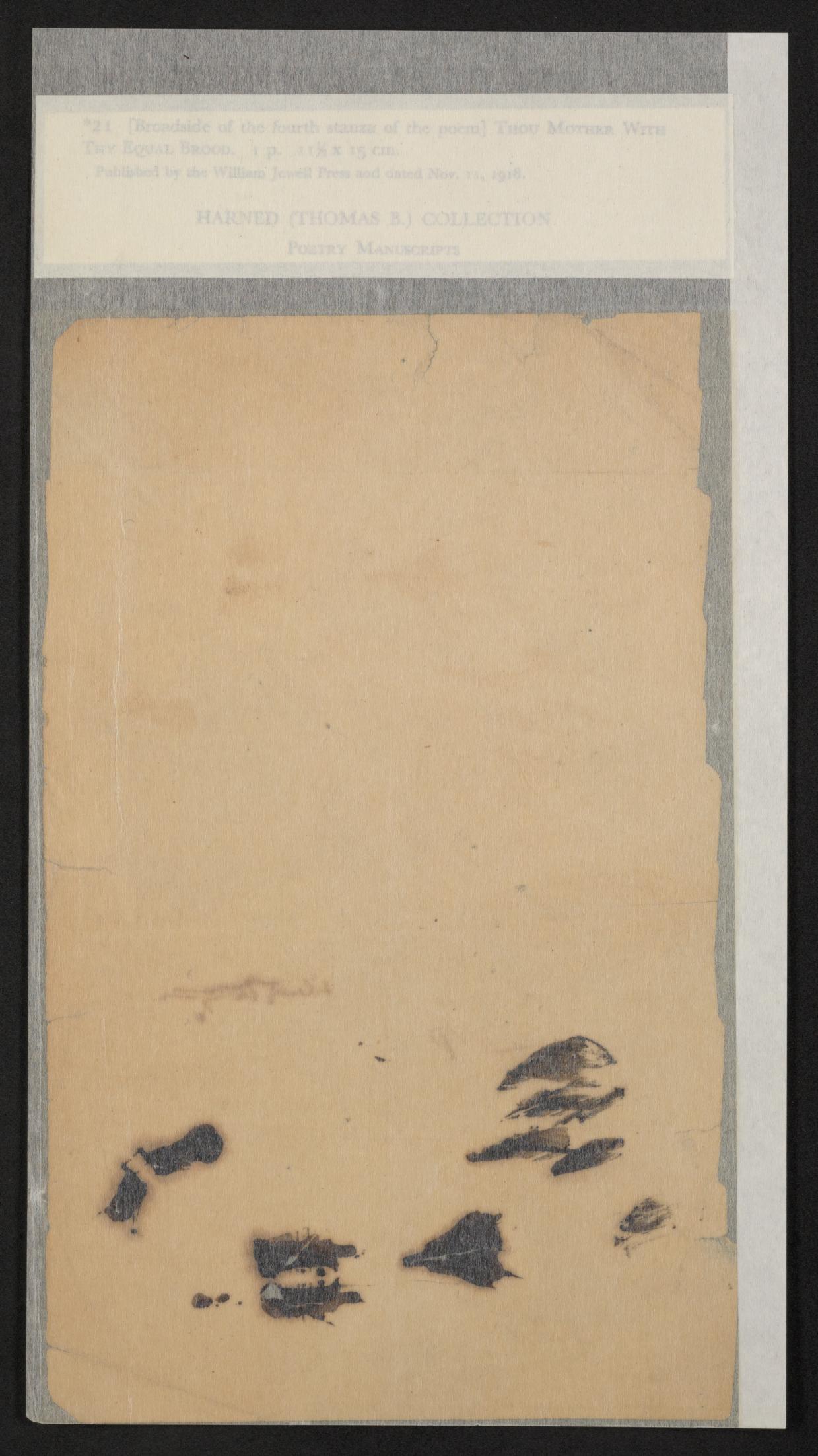 mss454430007-3