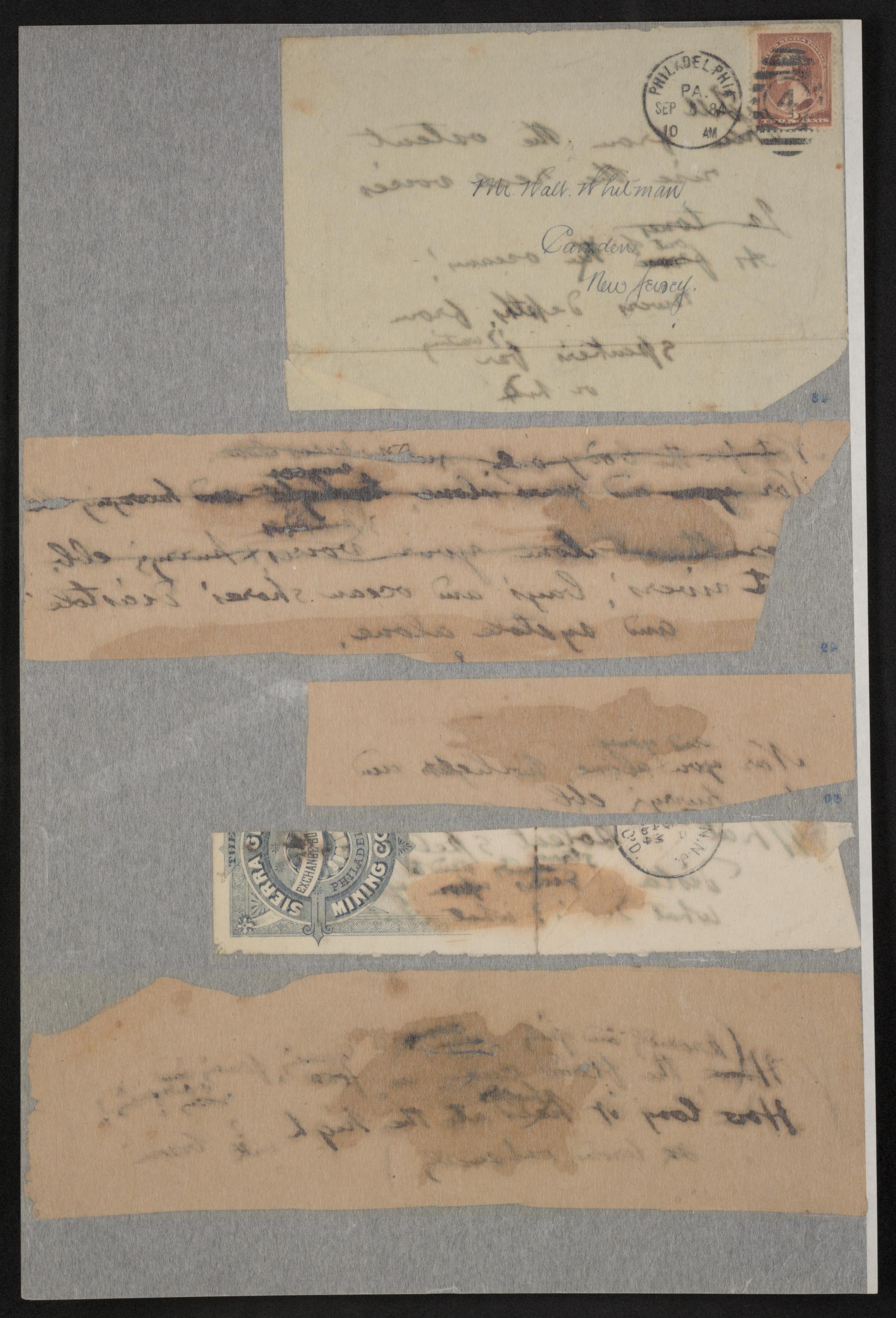 mss454430009-10