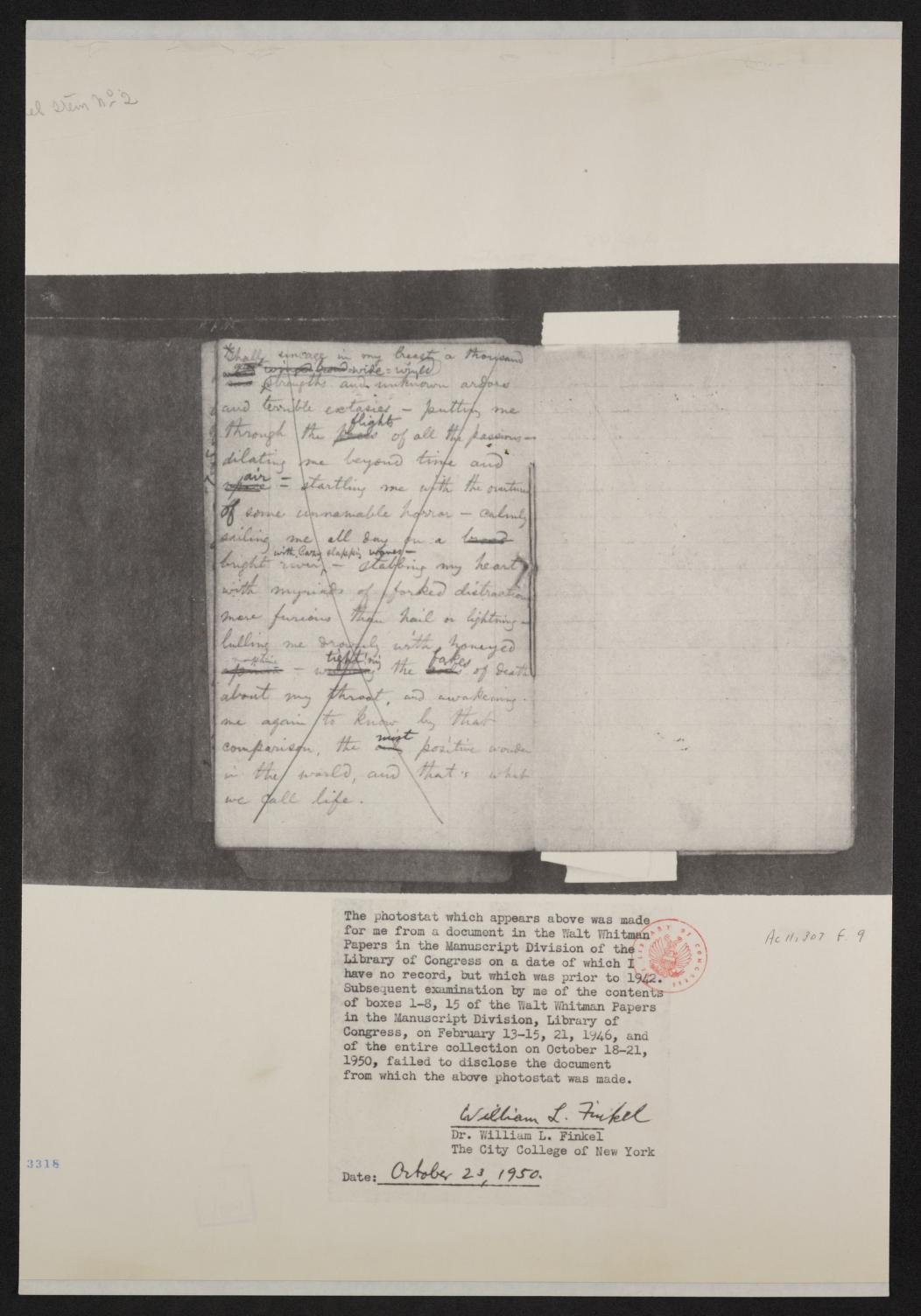 mss454430190-4