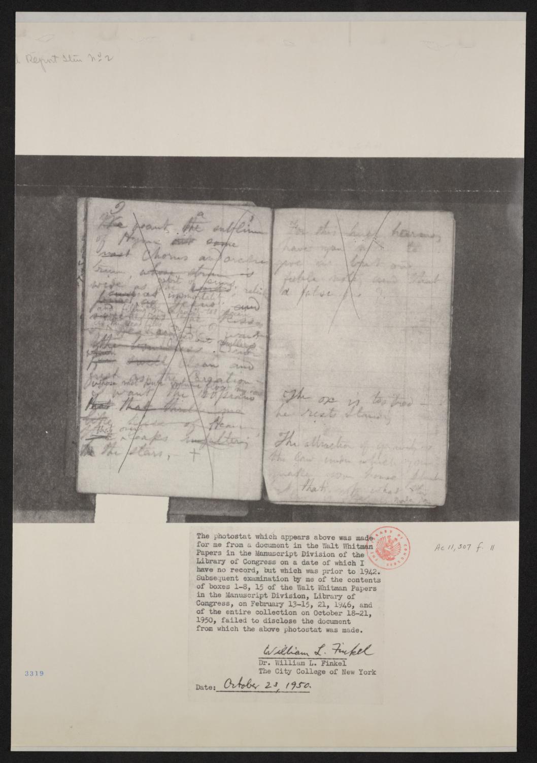 mss454430190-6