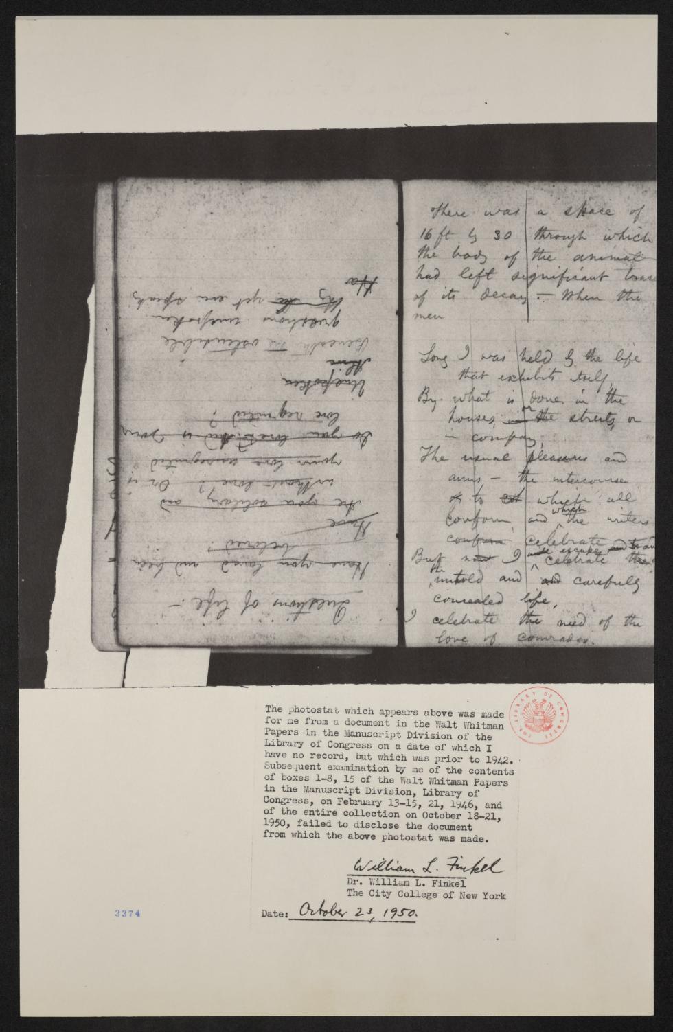mss454430193-4