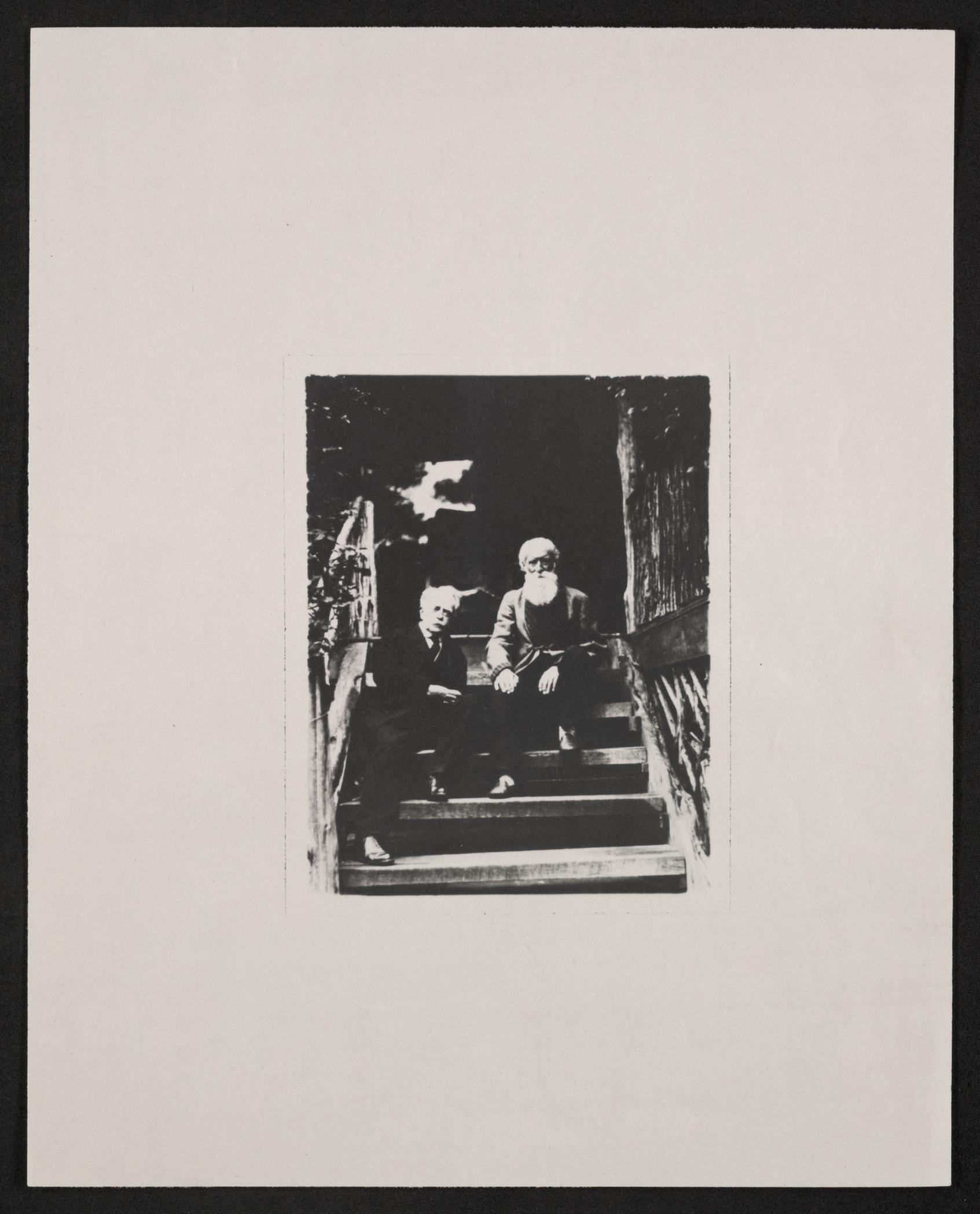 mss454430210-8